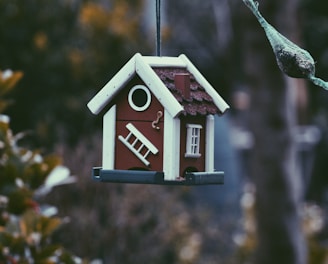 closeup photo of red and white bird house