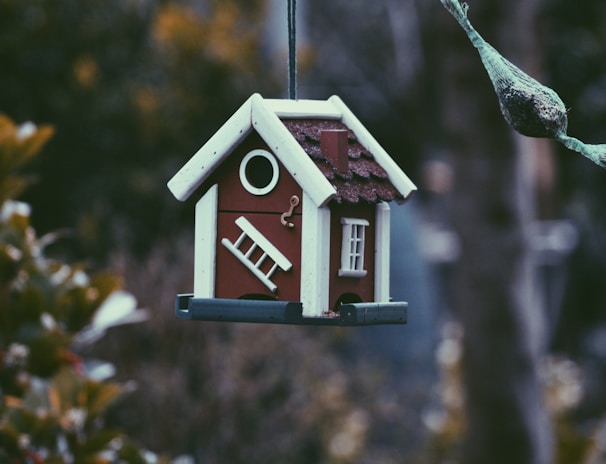 closeup photo of red and white bird house