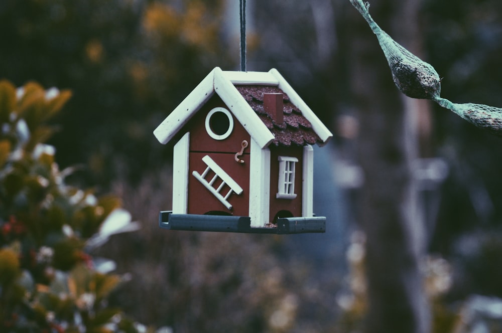 Foto de primer plano de la casa del pájaro roja y blanca