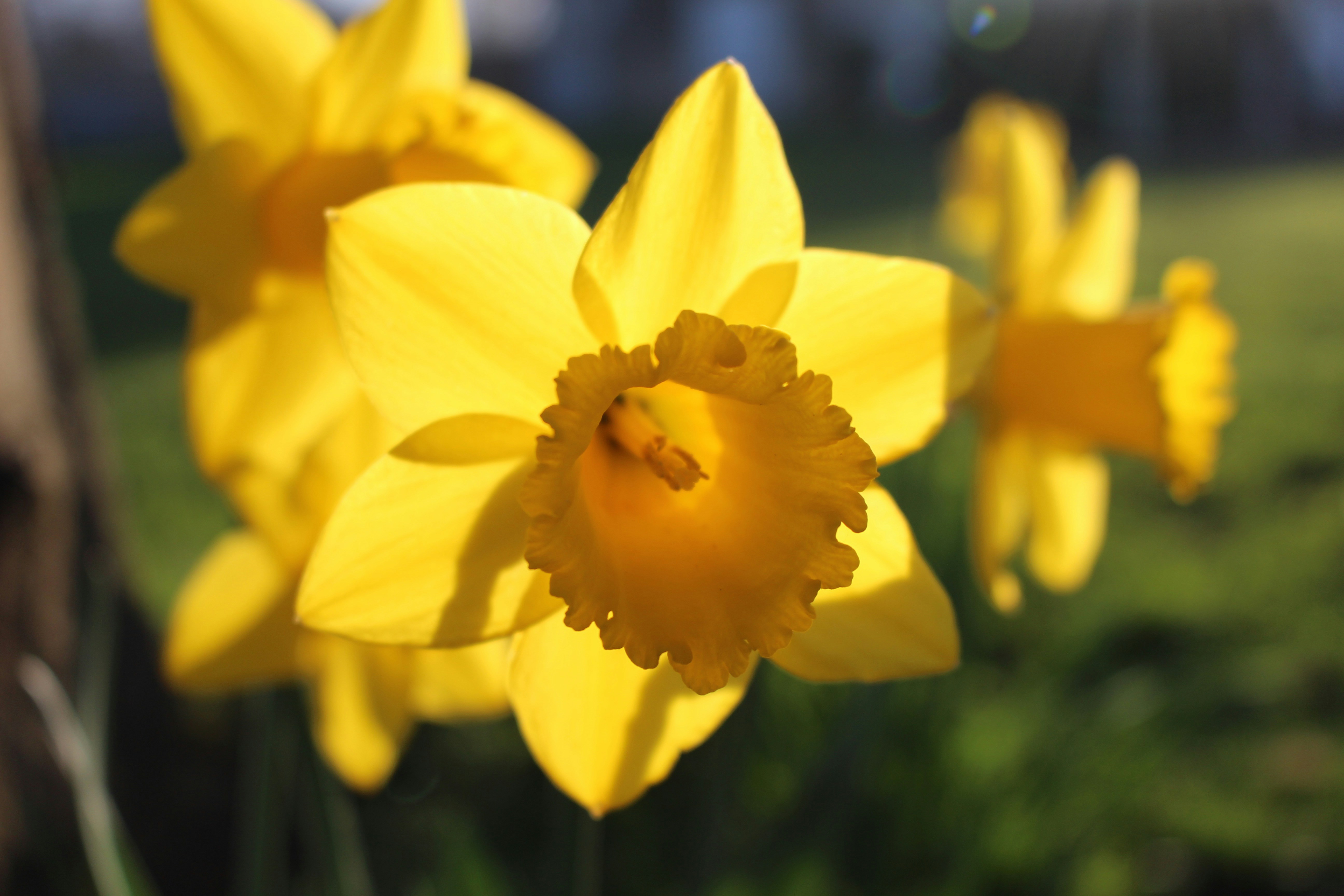 Free Unsplash photo from Emily Morter