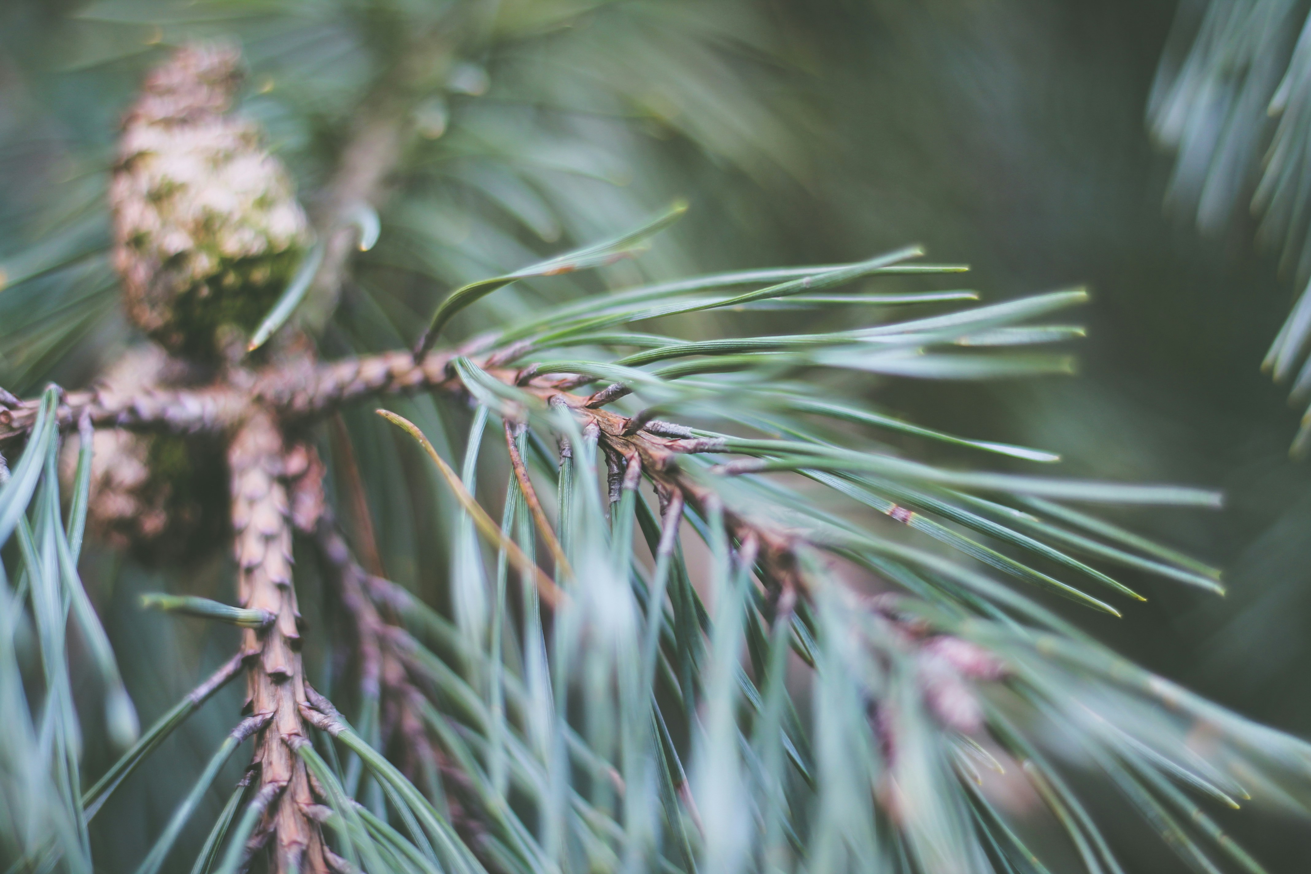 Free Unsplash photo from Erik-Jan Leusink