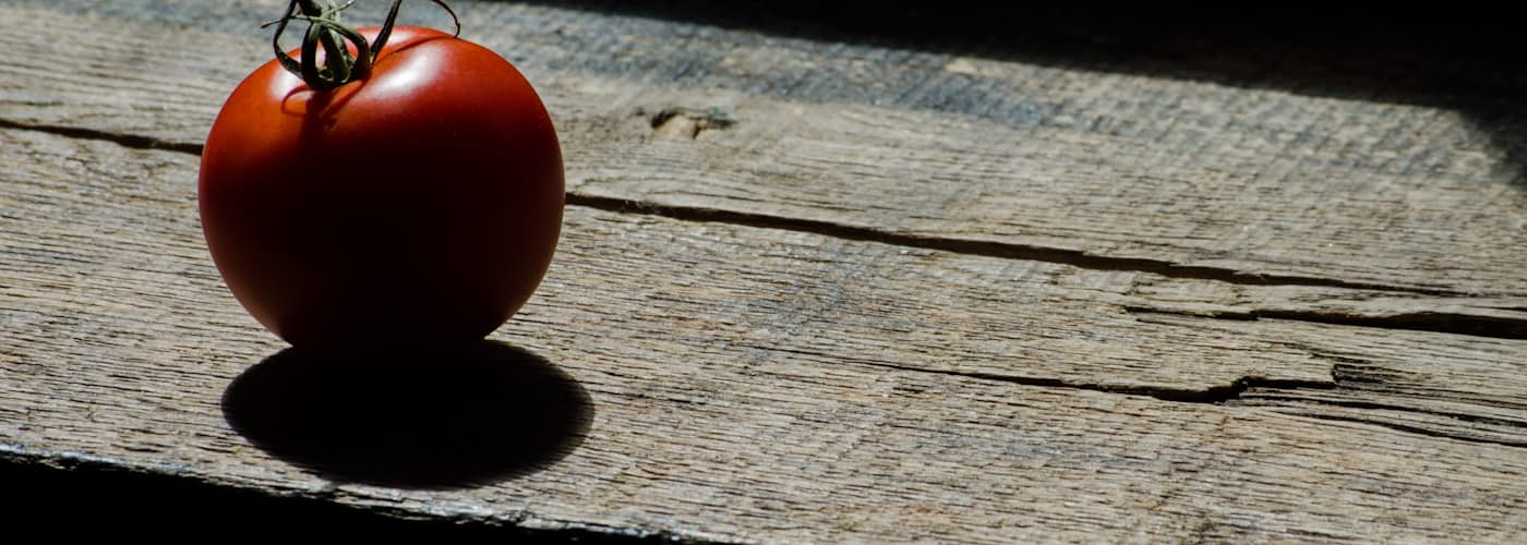 אפקט העגבנייה המתפוצצת: דרכים להתמודדות עם טעויות בחשיבה