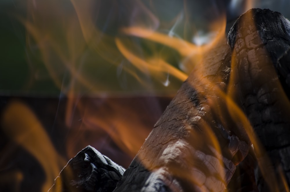 photo en gros plan de bois de chauffage brûlé