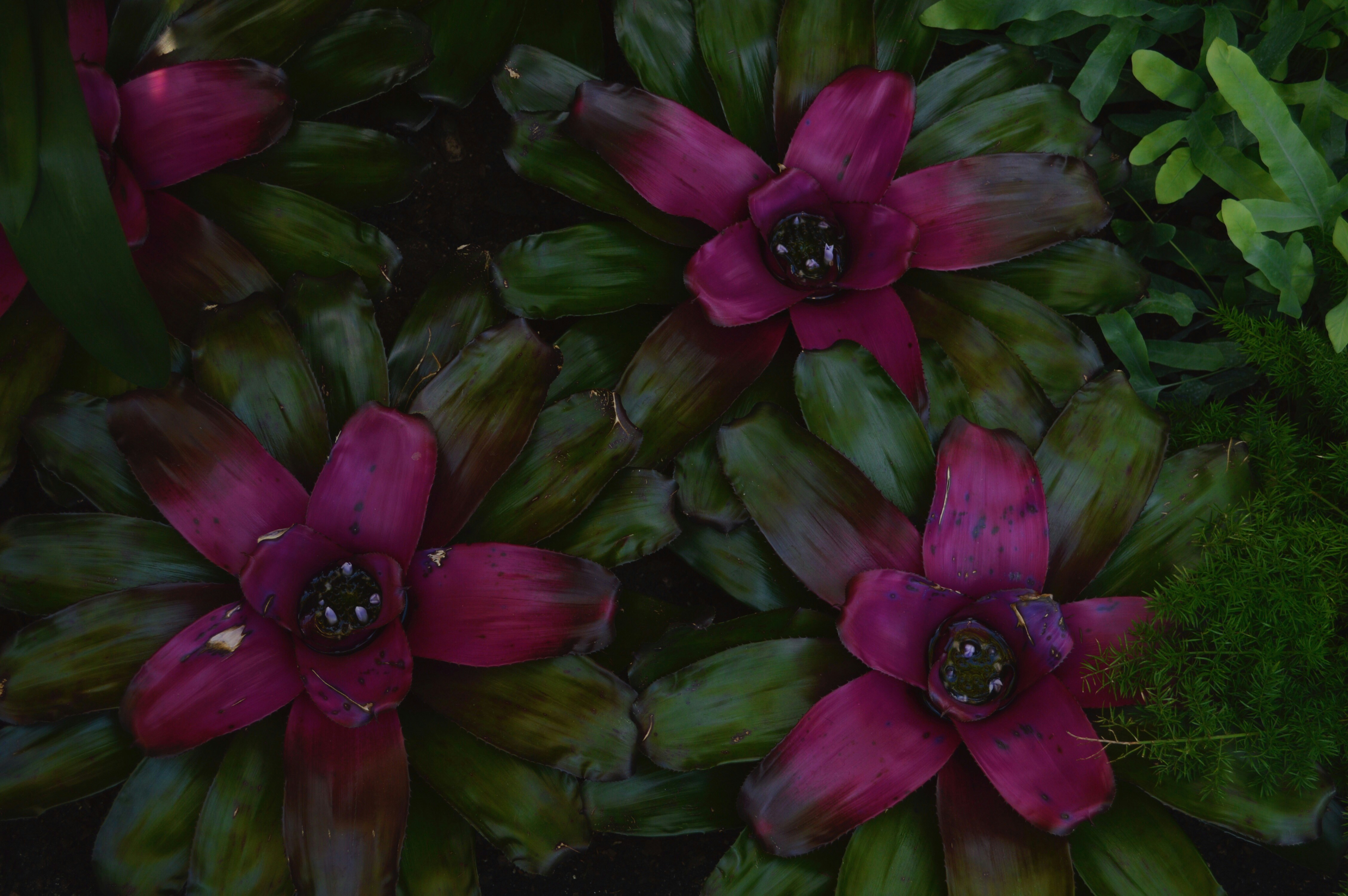 Free Unsplash photo from Becky Phan