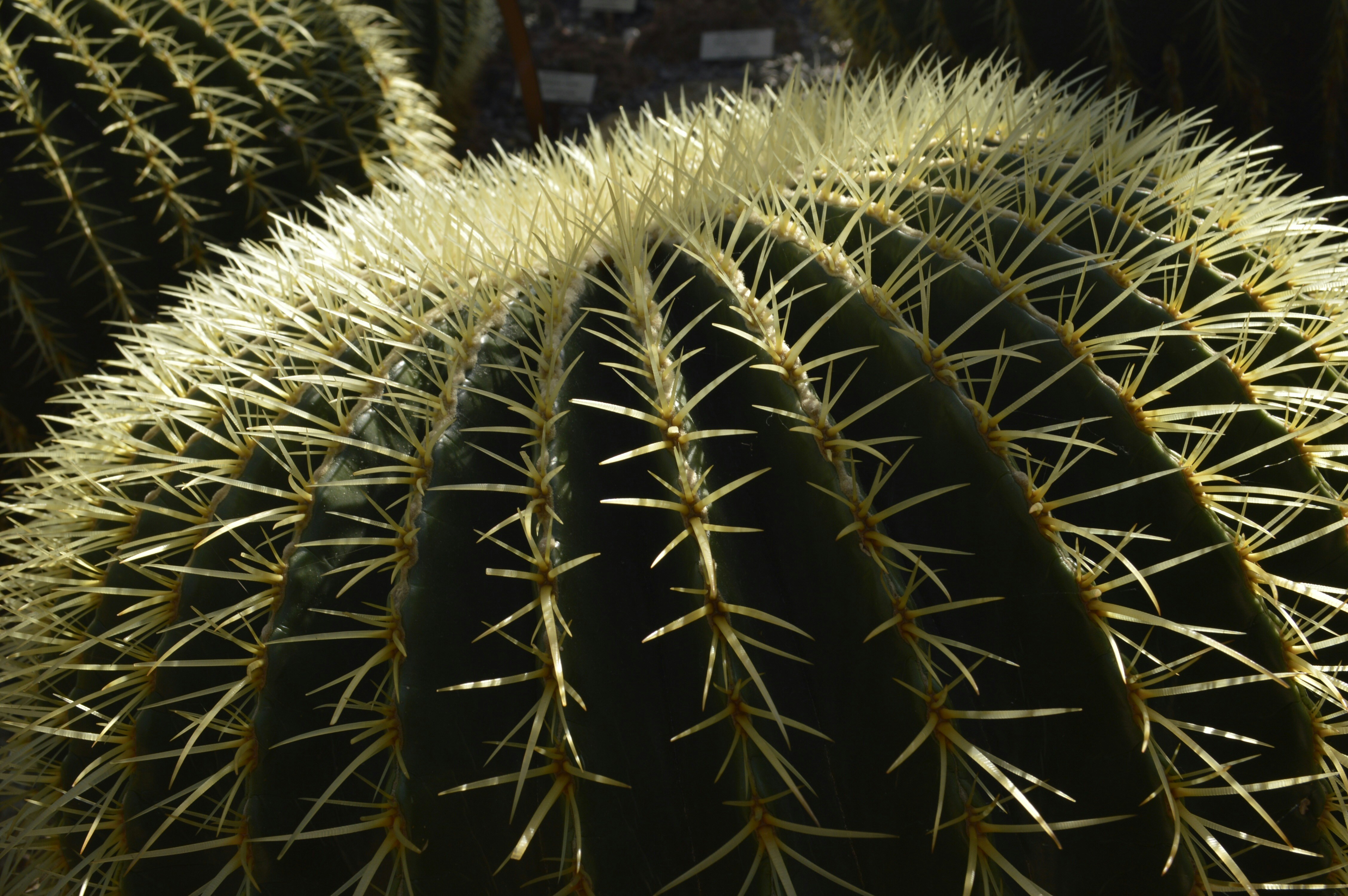 Free Unsplash photo from Becky Phan