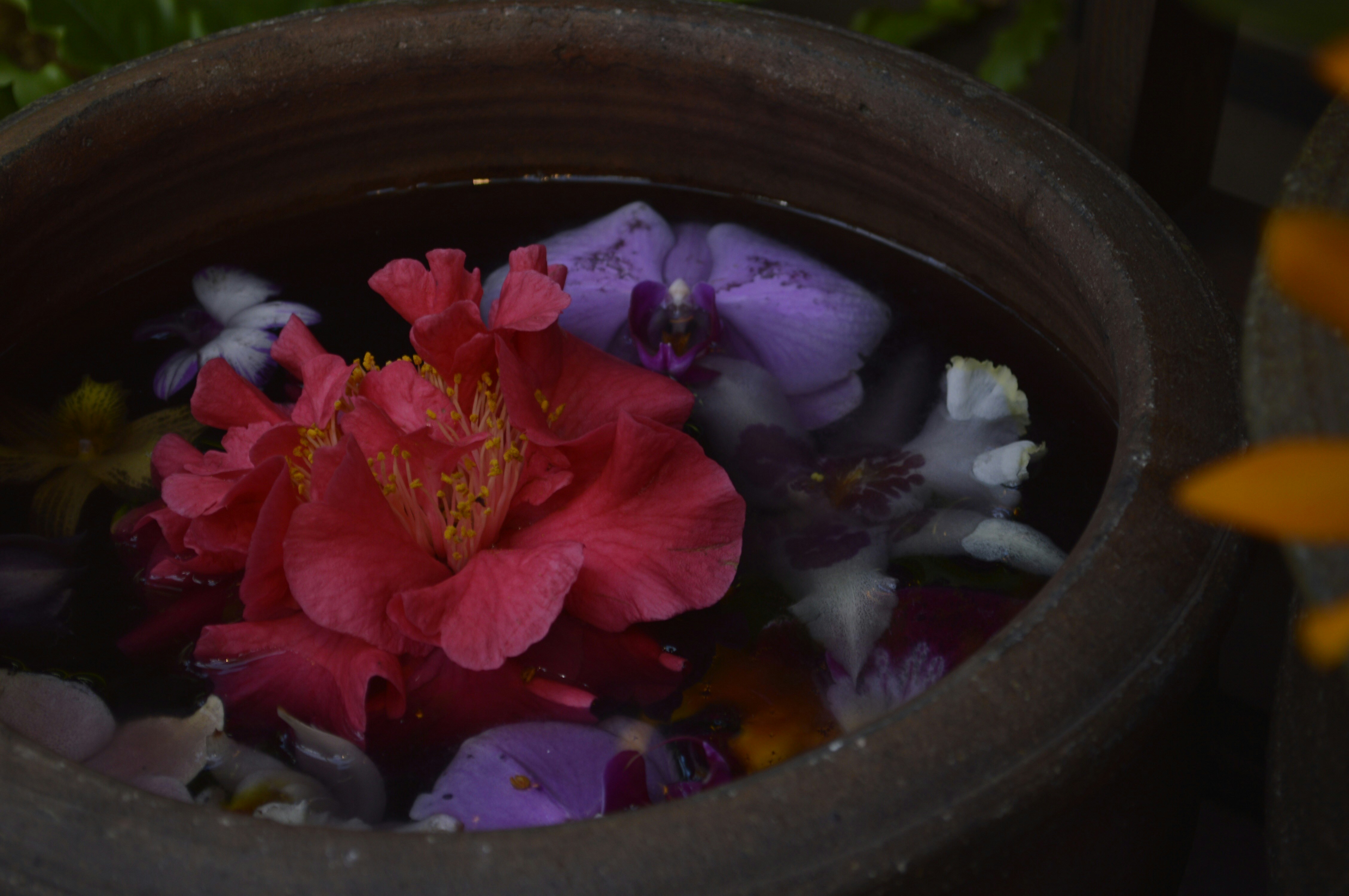 Free Unsplash photo from Becky Phan