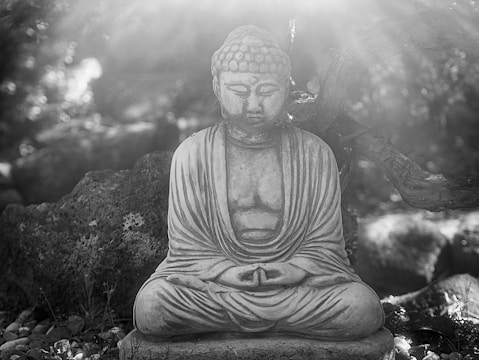 A serene Buddha statue sits peacefully in a meditative pose, surrounded by a natural setting with rocks and foliage. Sunlight filters through the leaves, casting gentle rays of light onto the scene.
