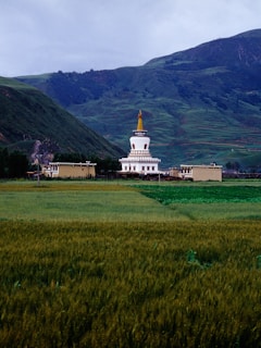 A large, lush green field stretches across the foreground, leading up to a white stupa with a golden spire. The stupa is flanked by traditional buildings, and all are set against a backdrop of rolling green hills under a cloudy sky.