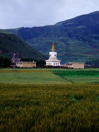 A large, lush green field stretches across the foreground, leading up to a white stupa with a golden spire. The stupa is flanked by traditional buildings, and all are set against a backdrop of rolling green hills under a cloudy sky.