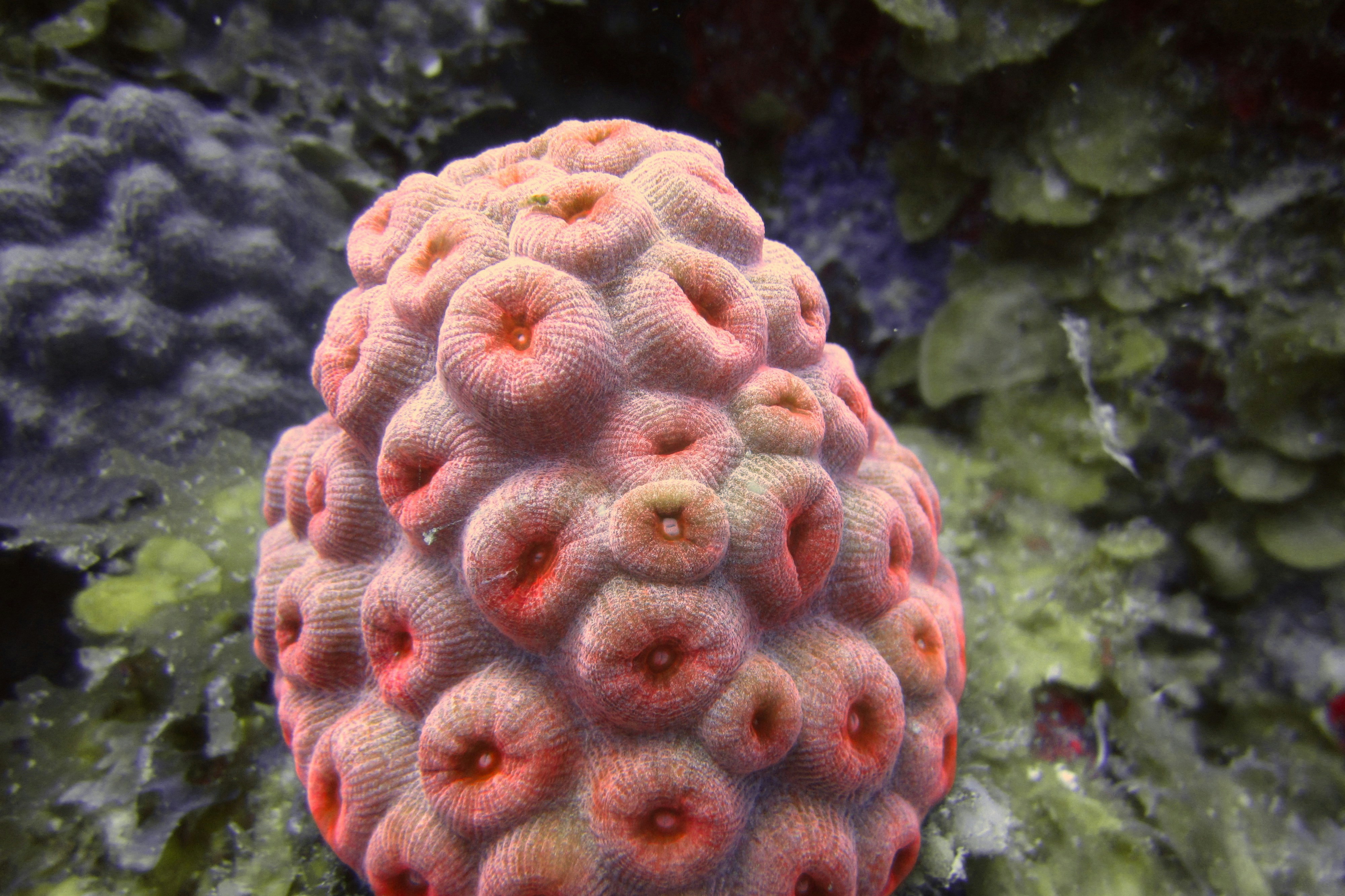 Free Unsplash photo from George Marzloff