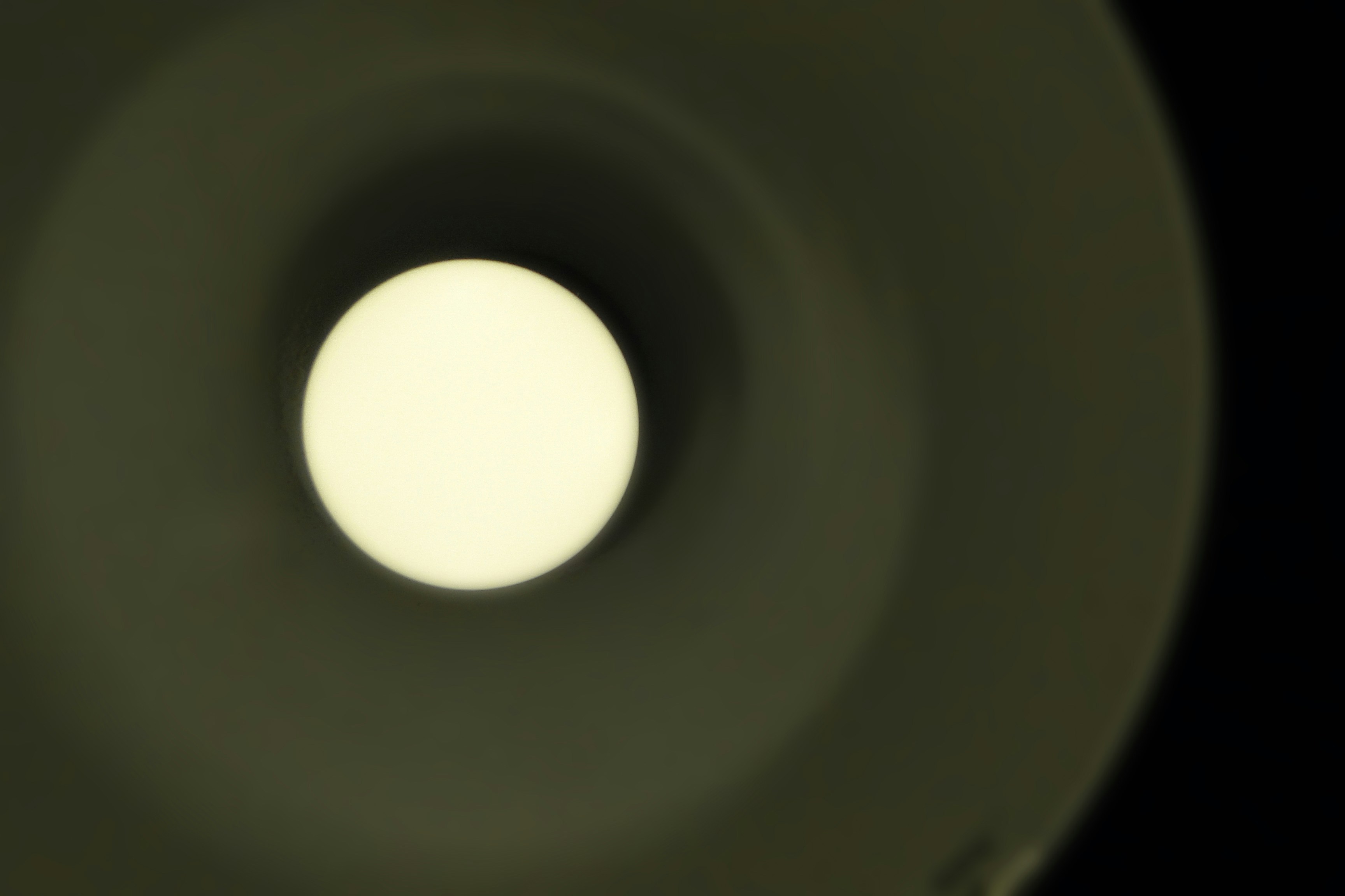 Free Unsplash photo from Liam Martens