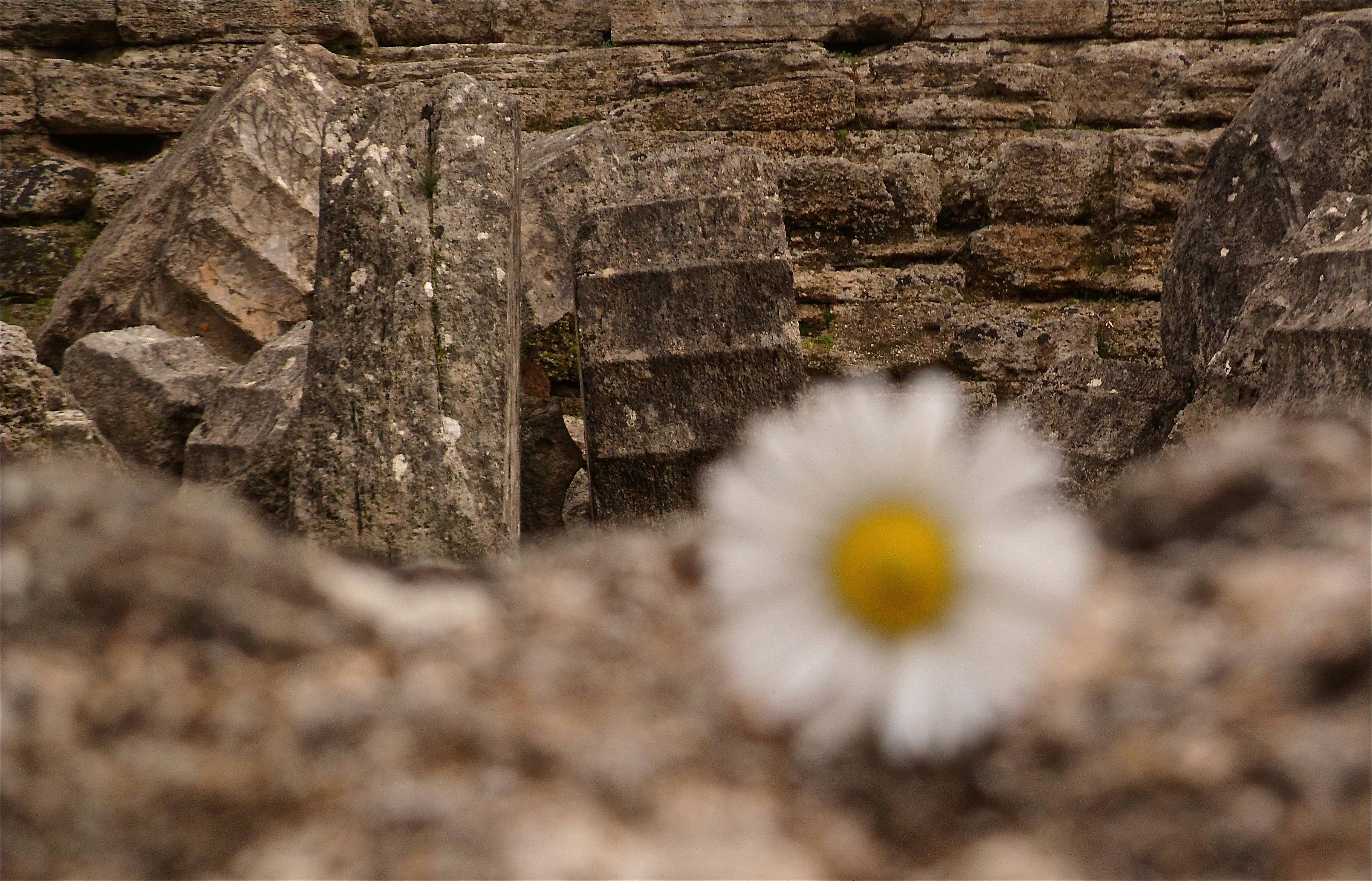 Free Unsplash photo from Lee Noel