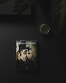 A magazine titled 'Berlin Quarterly' is placed on a dark surface. It features a cover photo of two shirtless individuals sitting closely together with neutral expressions. The top corner has foliage, and there is a glass containing a green liquid to the side.