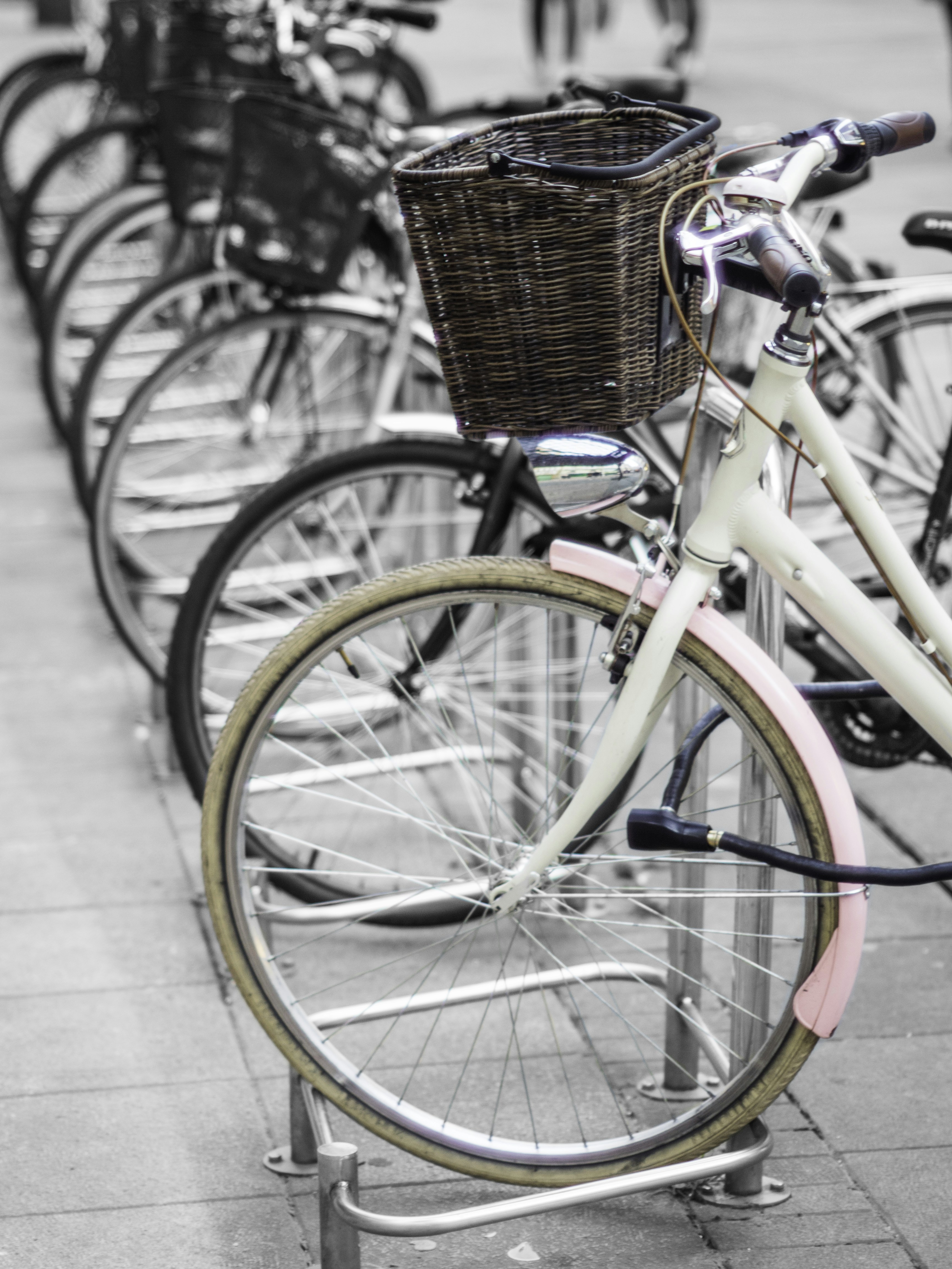 Free Unsplash photo from Alma PhotoStock