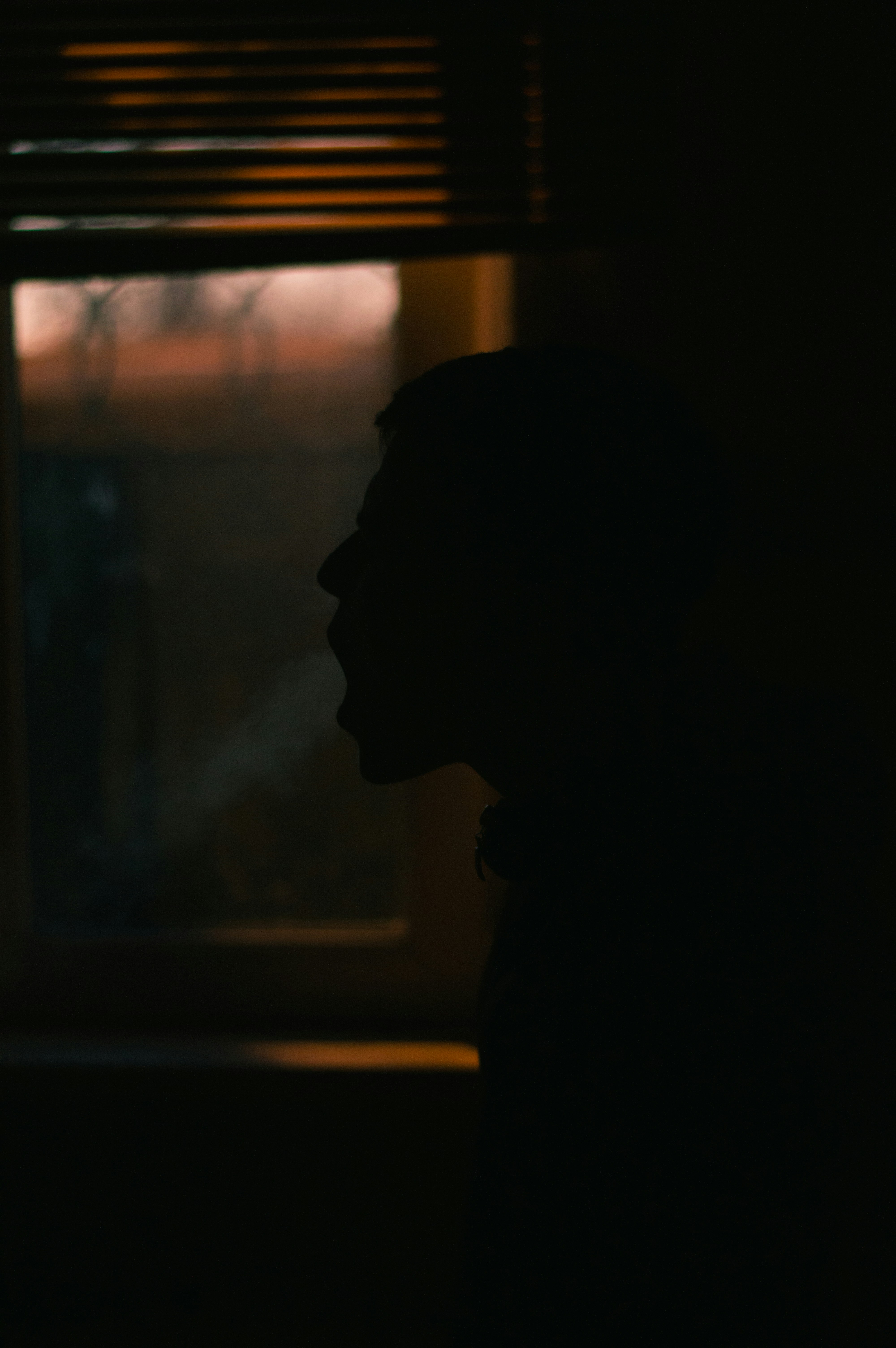 A sultry AI-generated cover featuring a mysterious silhouette against a moonlit bedroom window.