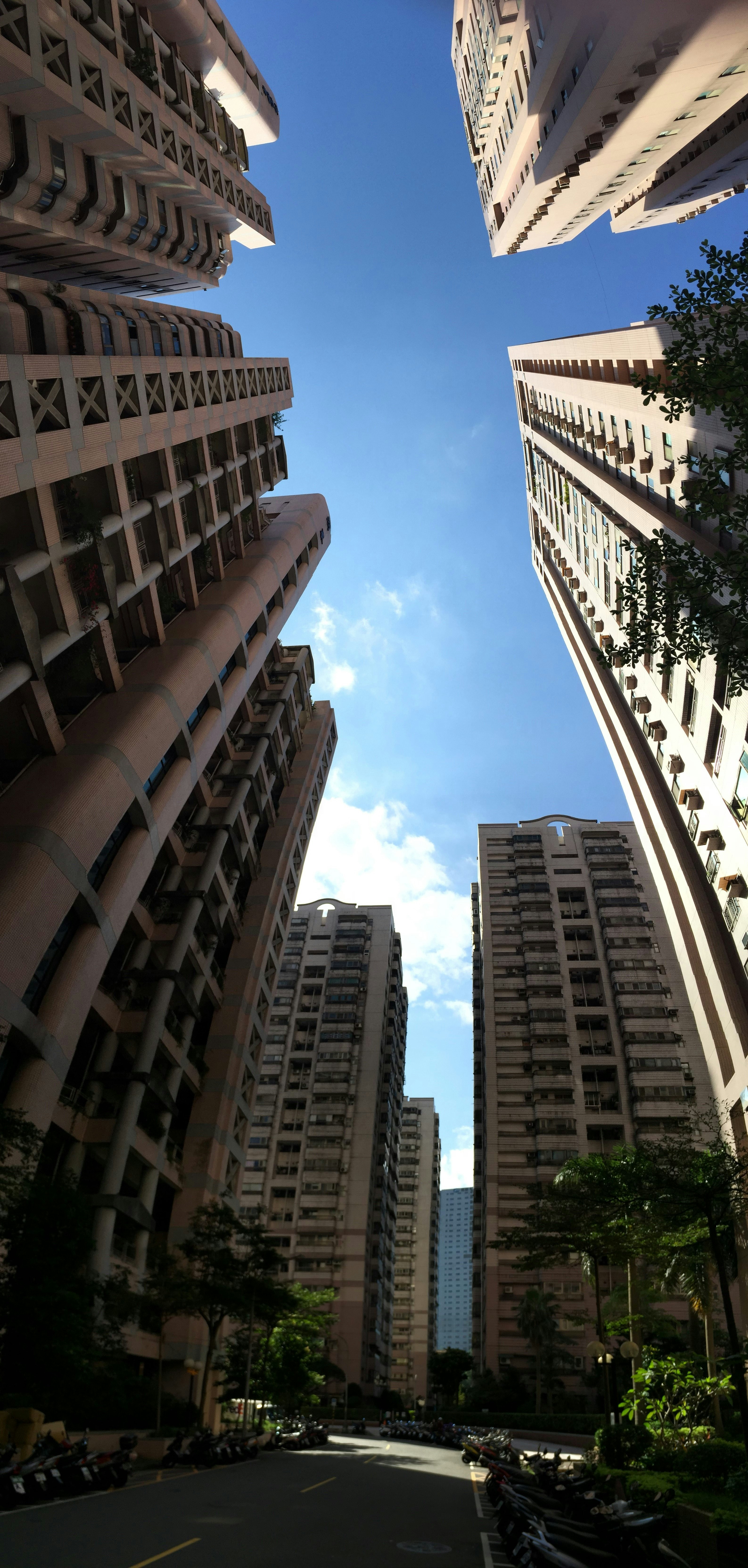 Free Unsplash photo from wawo twingo