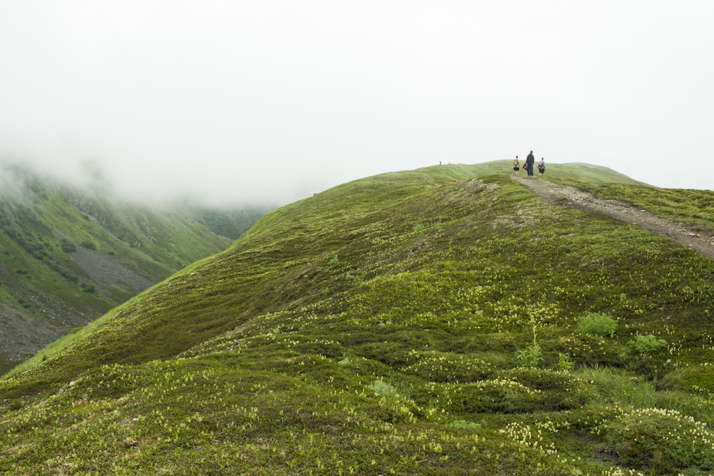 three people standing on top of hill