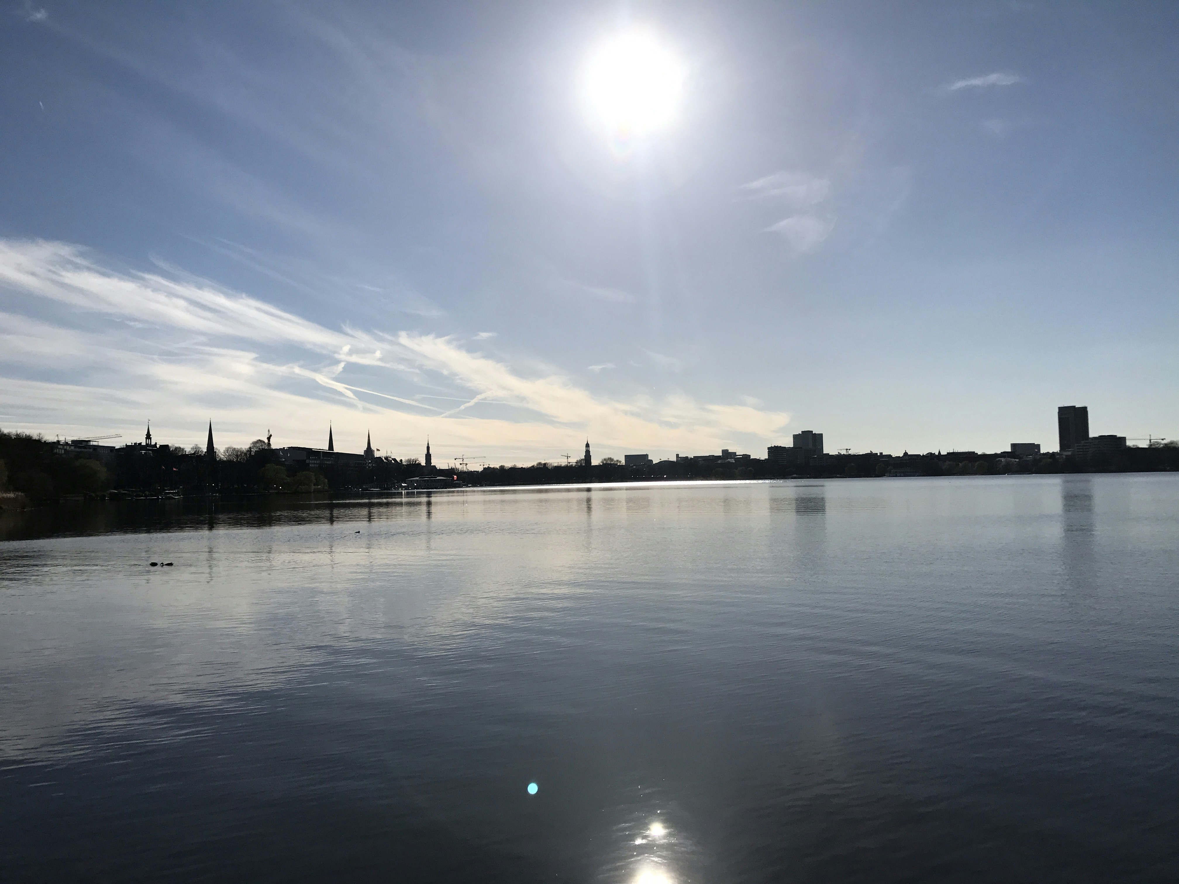 Free Unsplash photo from Seoyeon Park