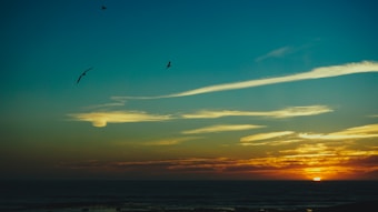 The image features a serene ocean sunset with a sky painted in hues of blue and orange. Silhouettes of birds glide across the expanse, adding a dynamic element to the tranquil scene. The sun is partially visible on the horizon, casting a warm glow over the clouds and sea.