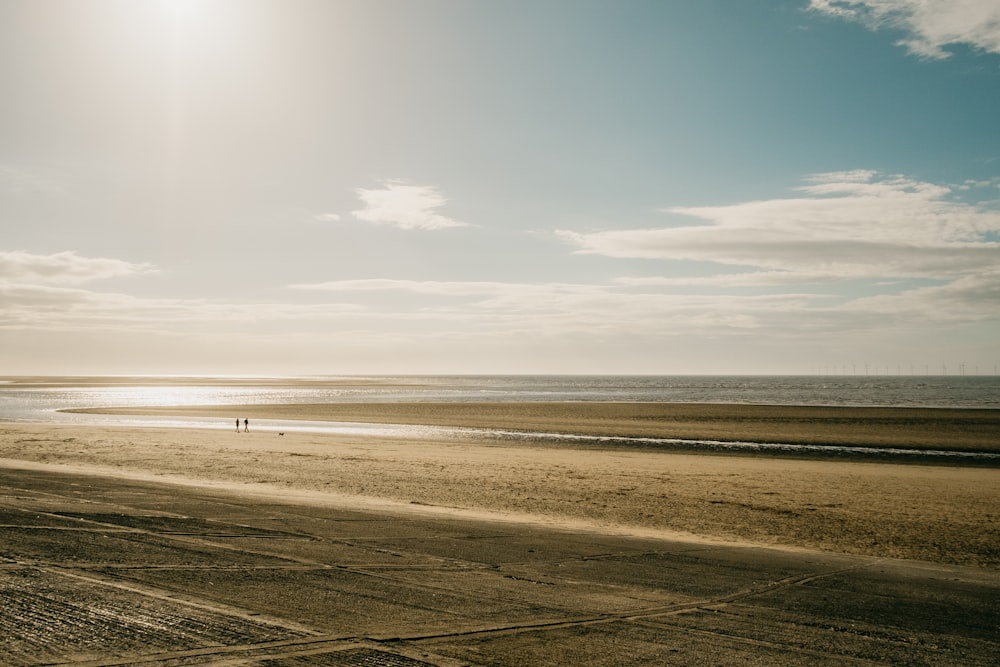 person walking on brown sand near sea during daytime