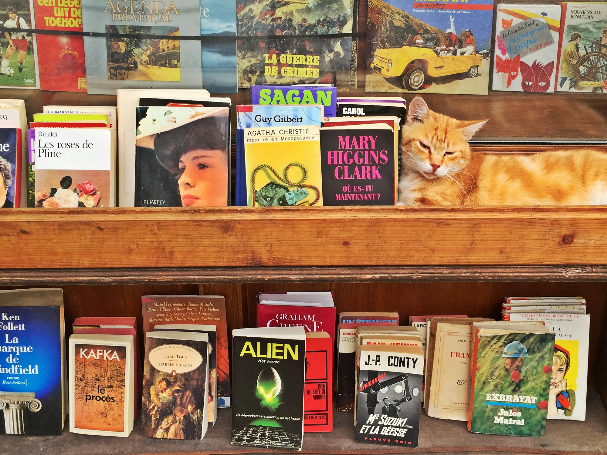 Free Unsplash photo from Aleks Marinkovic