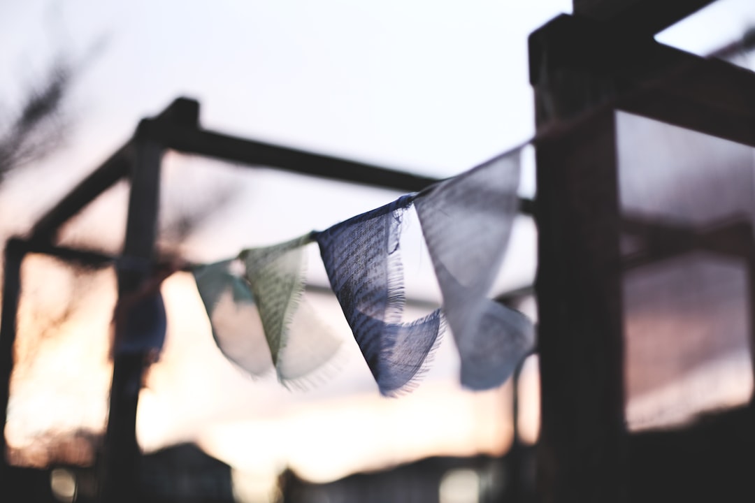 The Name Change Explained:Breezin' Through the Skies: Why David Nee… — The Name Change Explained