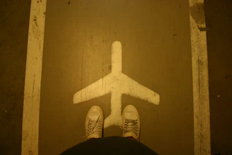 A map highlighting global delivery routes with a pair of stylish shoes at the center.