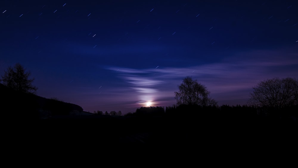 silhouette of trees during nighttime