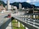 A bustling urban scene featuring a modern cityscape with tall buildings set against a backdrop of lush green mountains. A main roadway shows a dedicated bus lane with several red buses in transit, highlighting efficient public transportation. A pedestrian walkway is visible alongside the road.