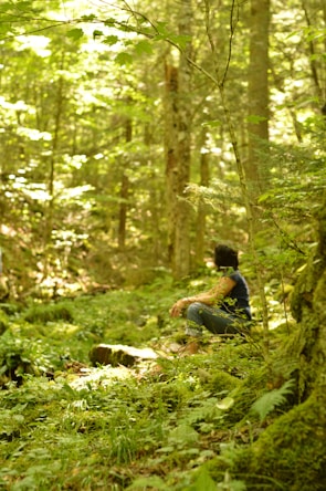 A person sits peacefully in a lush forest, surrounded by greenery and sunlight filtering through the trees. The setting feels serene and natural, with dense foliage and moss covering the ground.