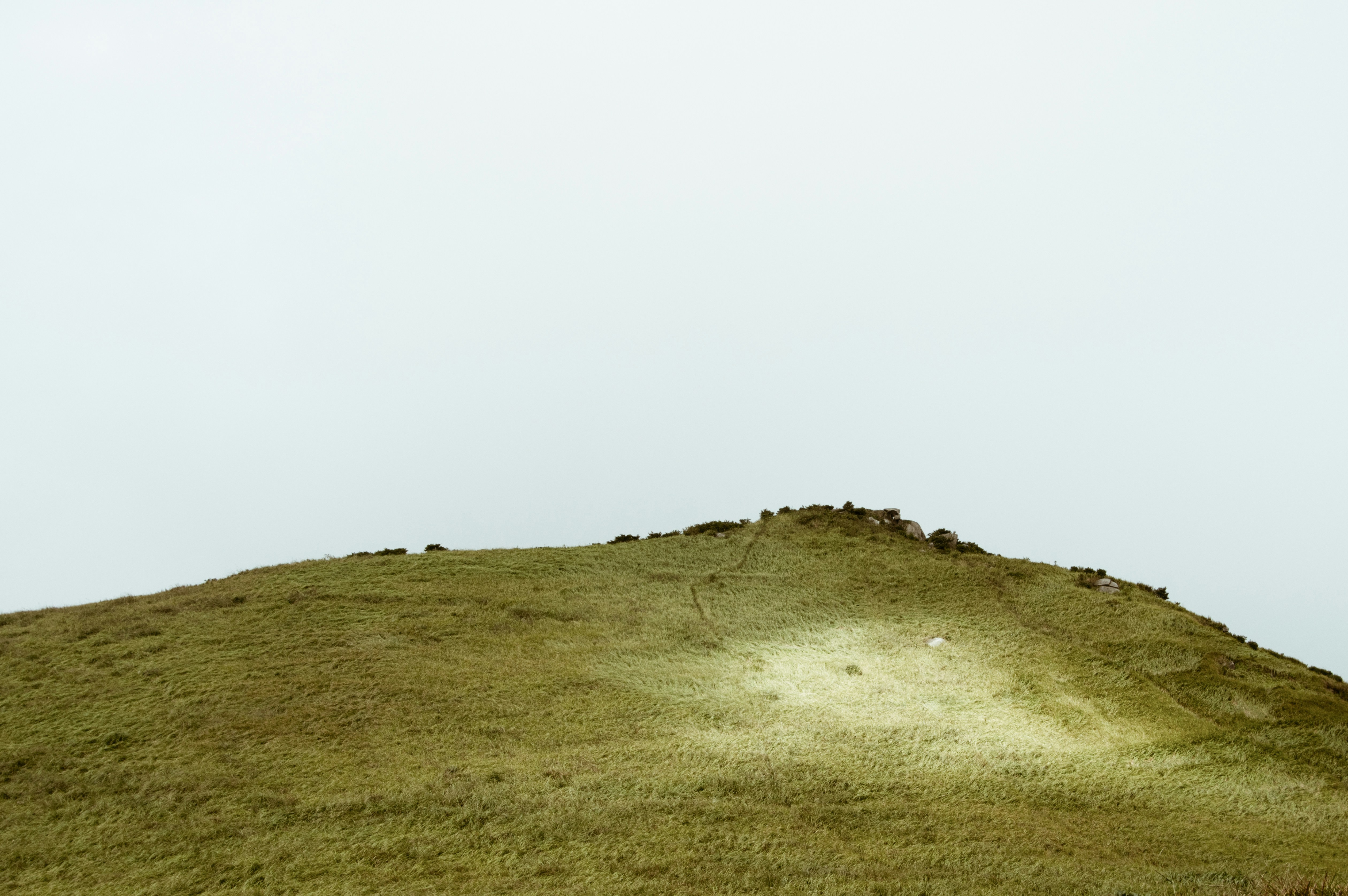 Free Unsplash photo from Alvan Nee