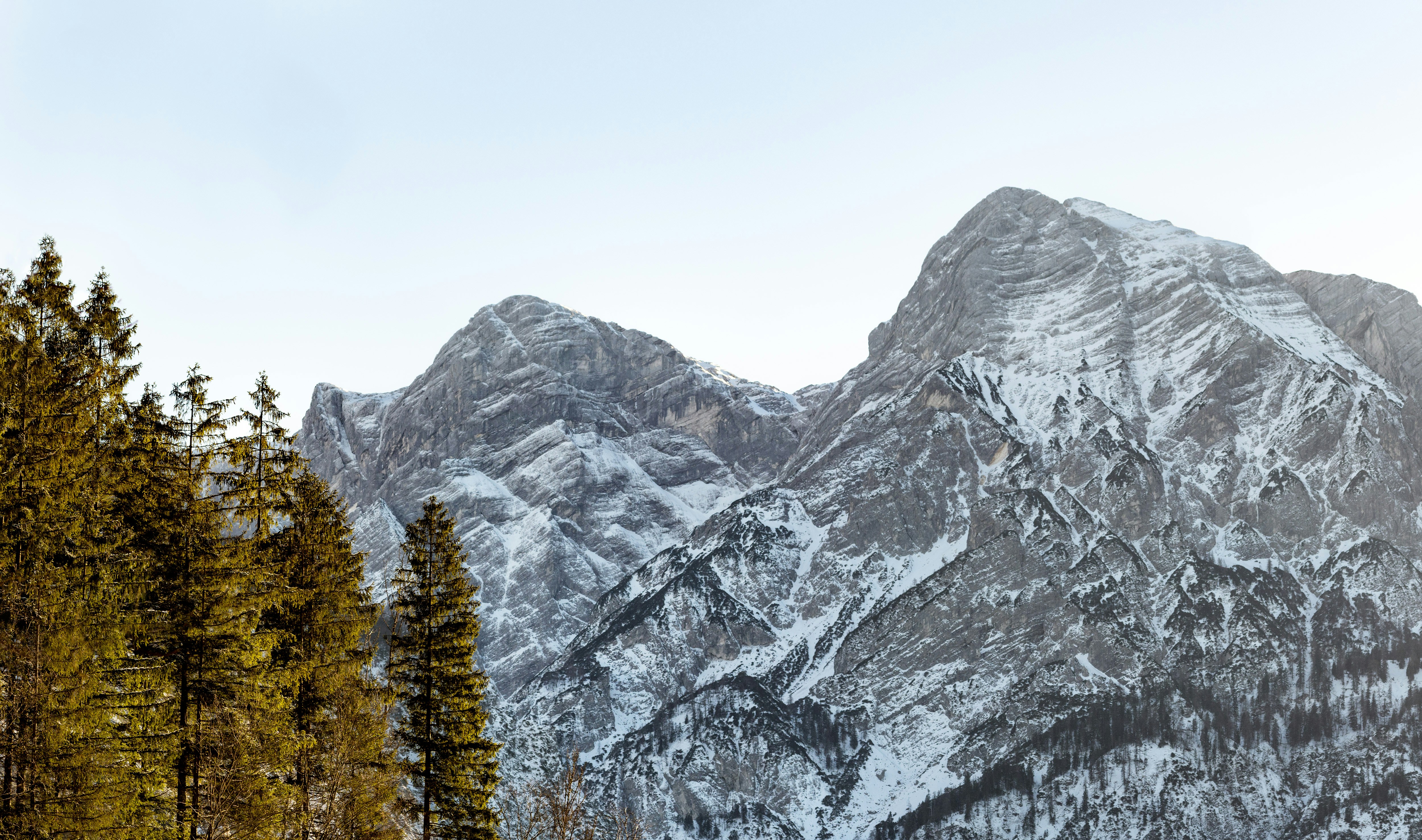 green trees near glacier mountain at daytime oberösterreich teams background