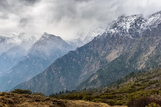 green and brown mountain hill during daytime in Langtang National Park Nepal