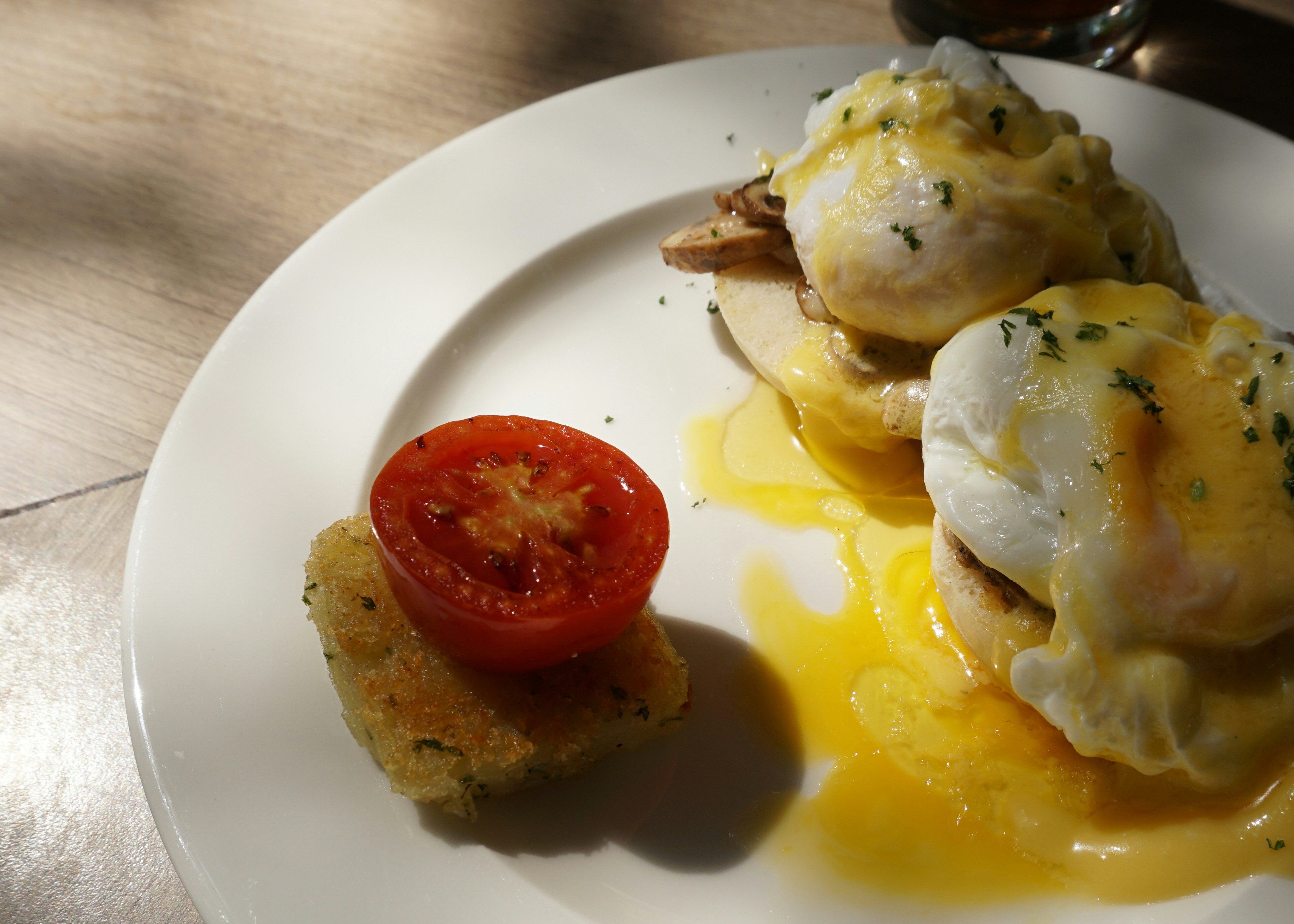 Free Unsplash photo from Swaminathan Jayaraman