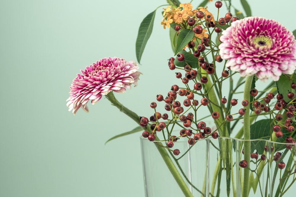 fleurs aux pétales roses, jaunes et bruns