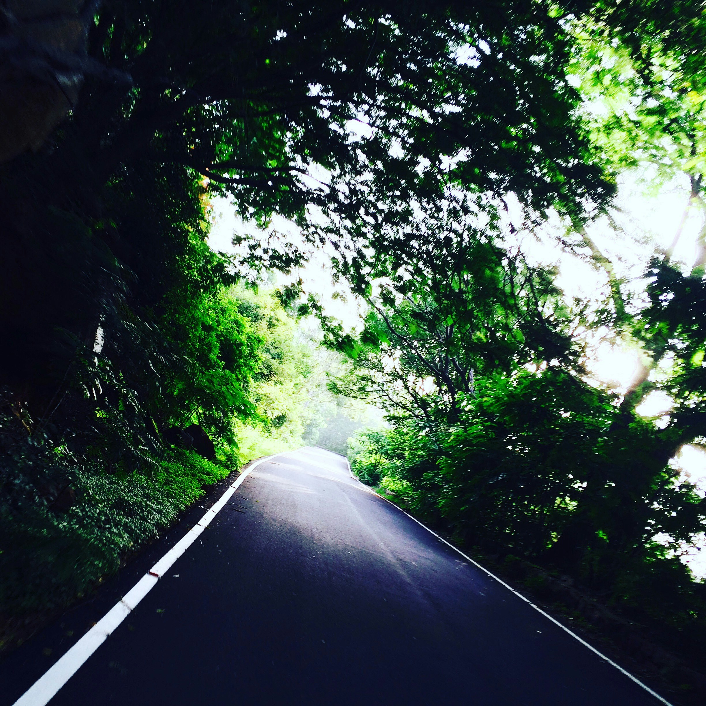 Free Unsplash photo from Amar Gajula