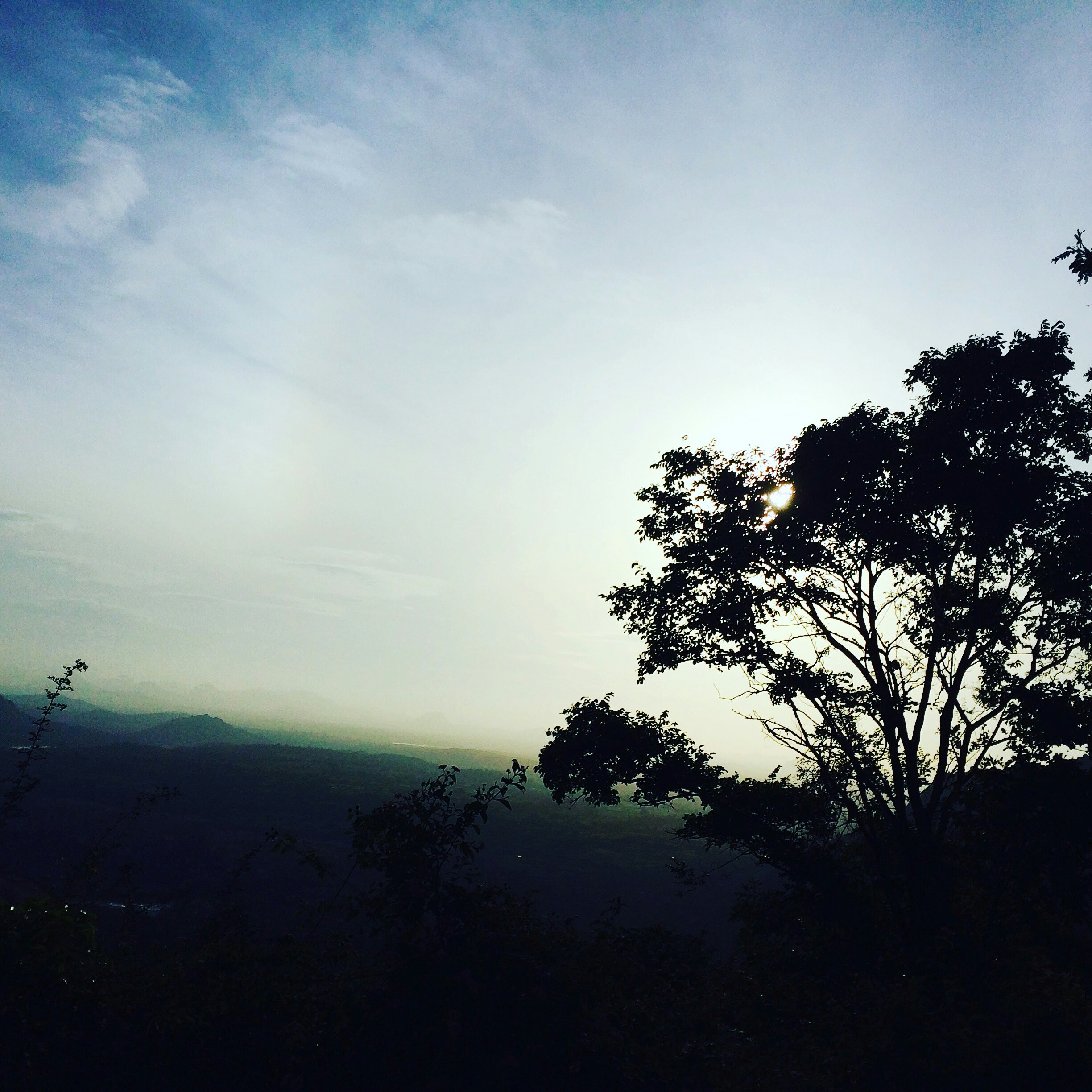 Free Unsplash photo from Amar Gajula