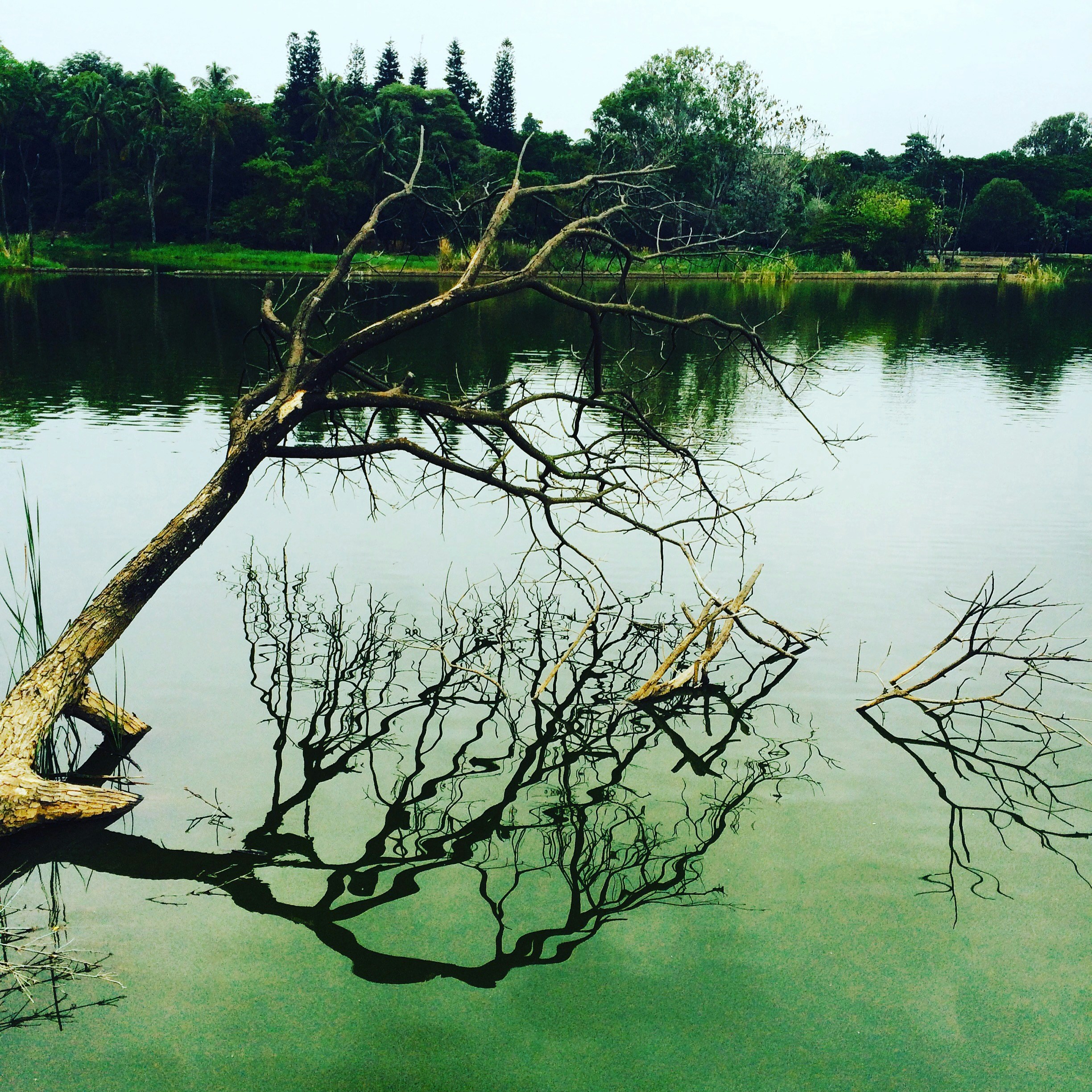 Free Unsplash photo from Amar Gajula