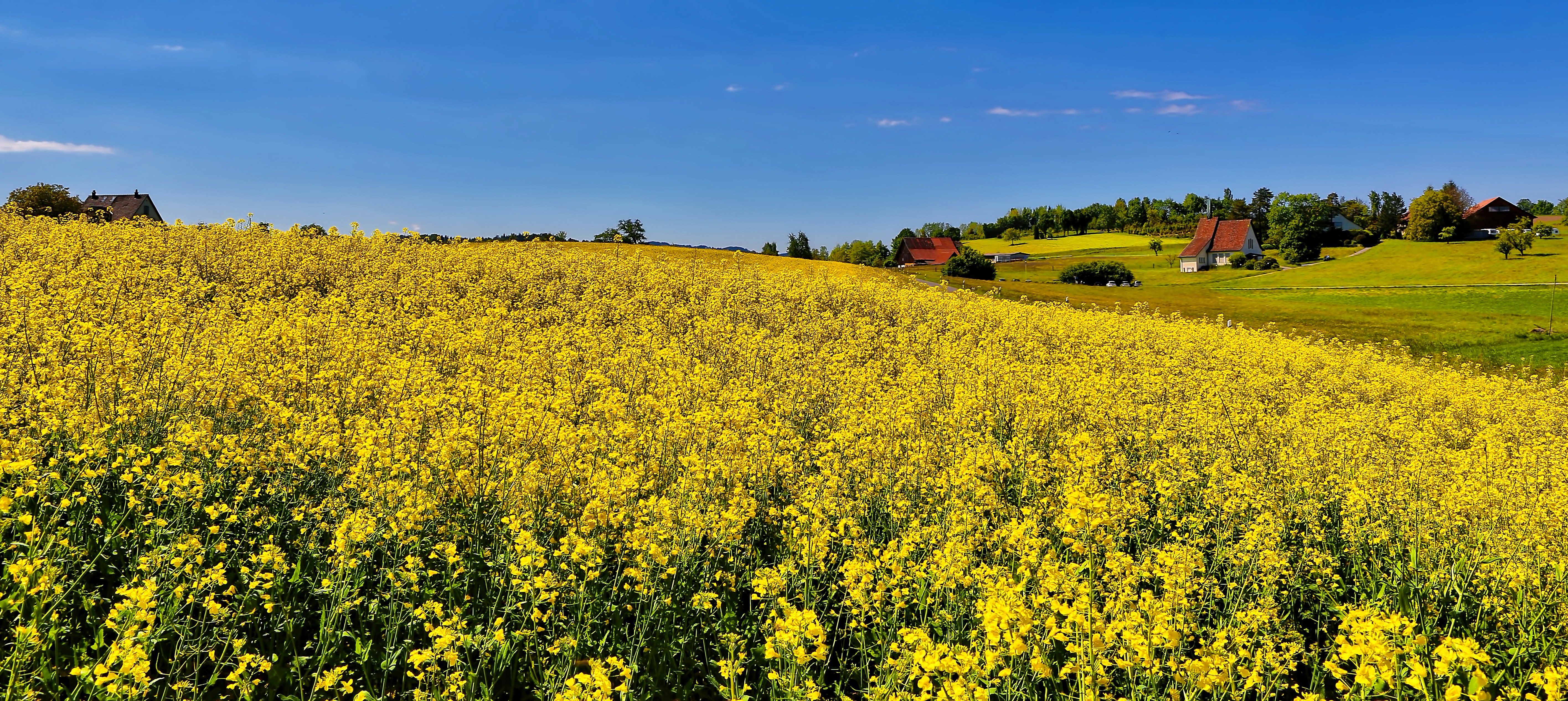 Photo by rgaleriacom