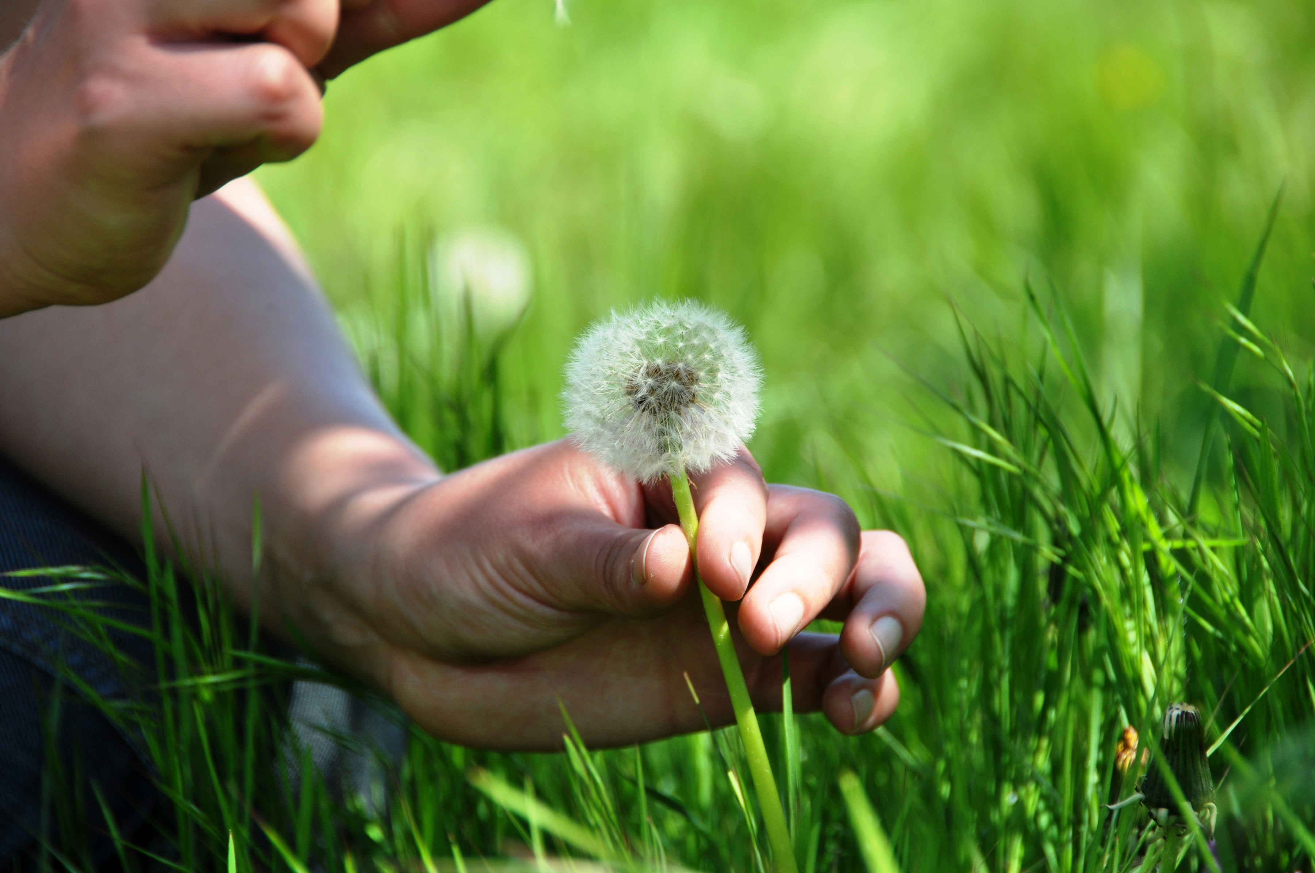 Free Unsplash photo from Tania Reus