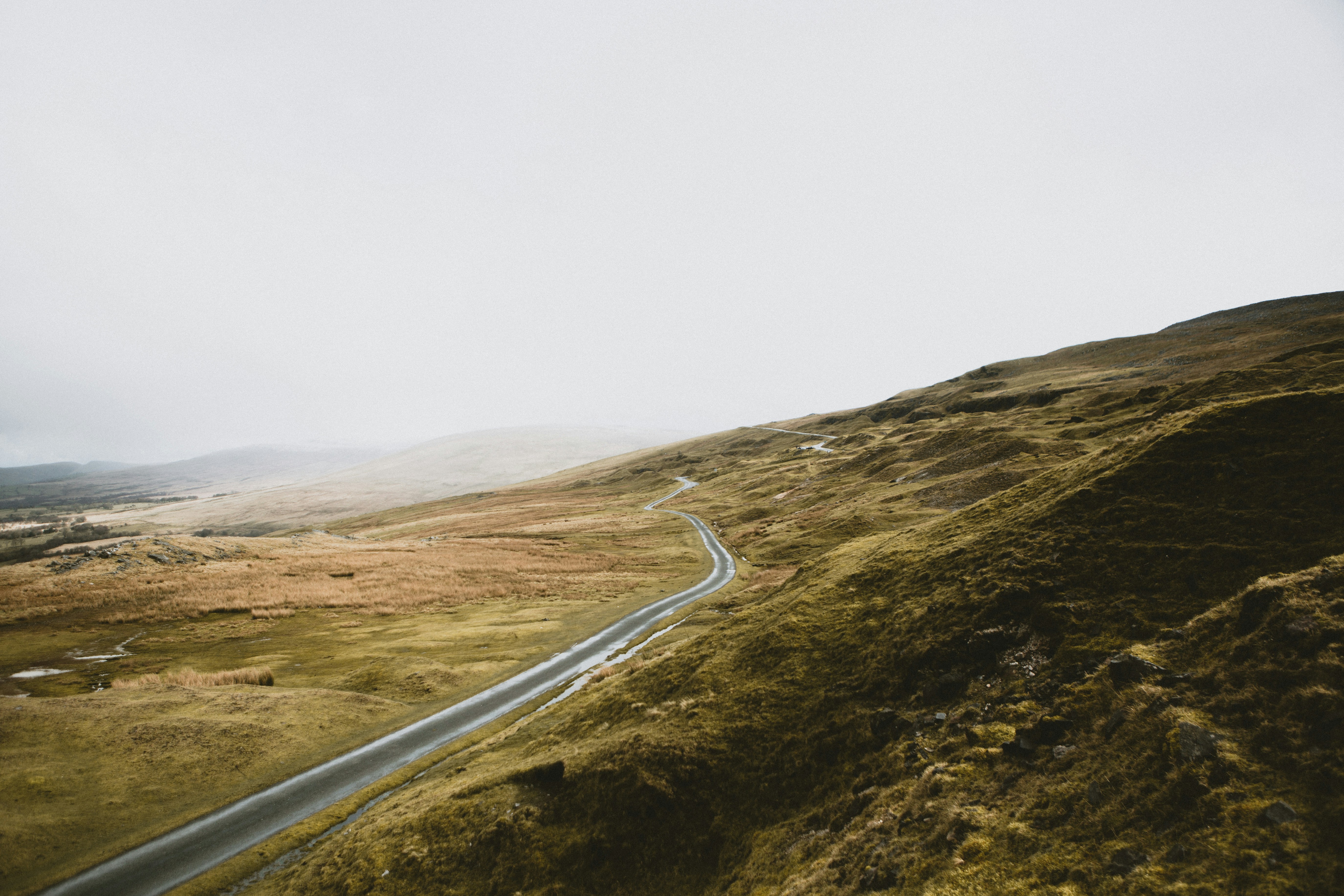 Free Unsplash photo from Felix Russell-Saw