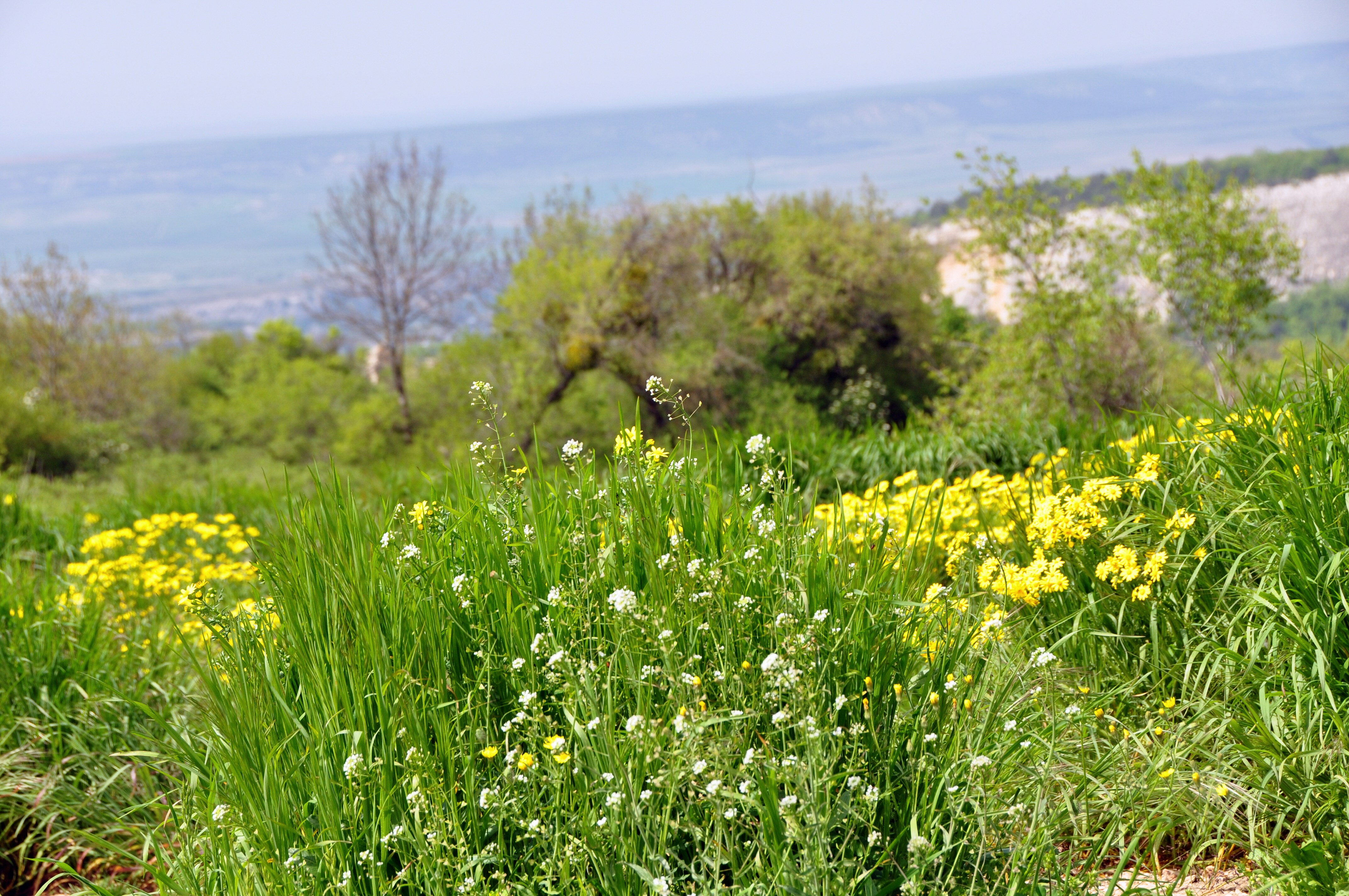 Free Unsplash photo from Tania Reus