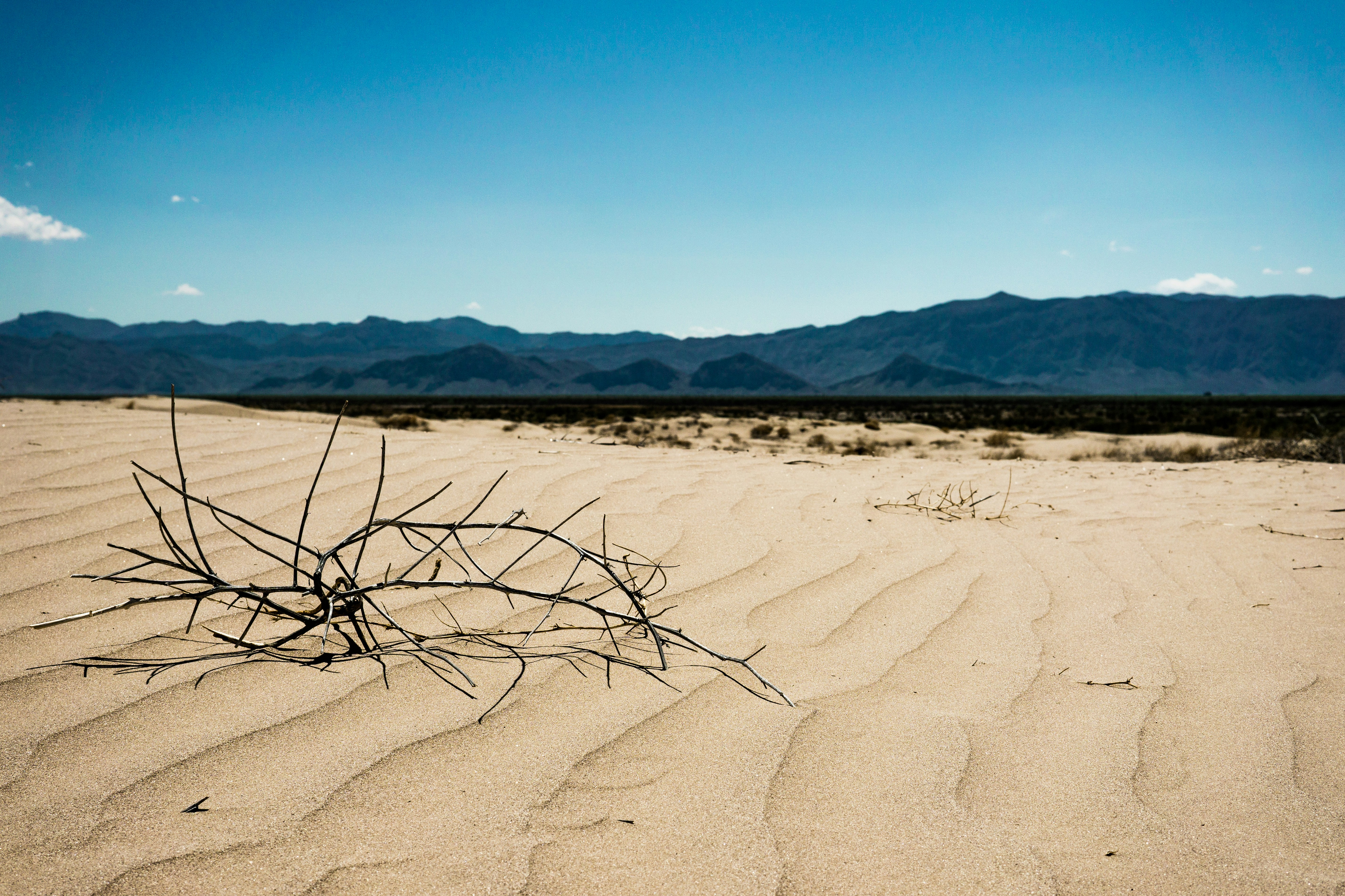 Free Unsplash photo from Ricardo Braham