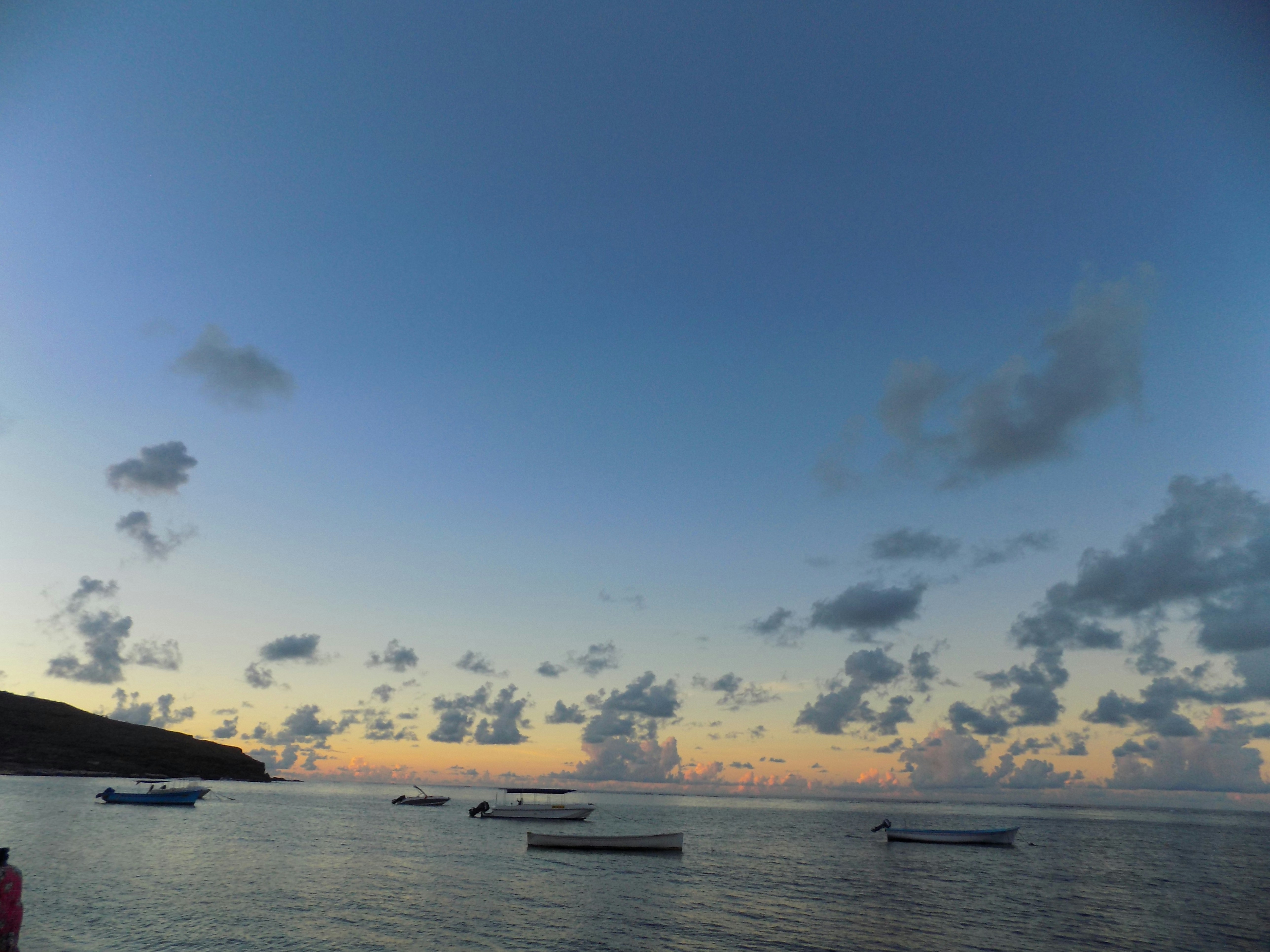 Free Unsplash photo from Pooja Ramsoful