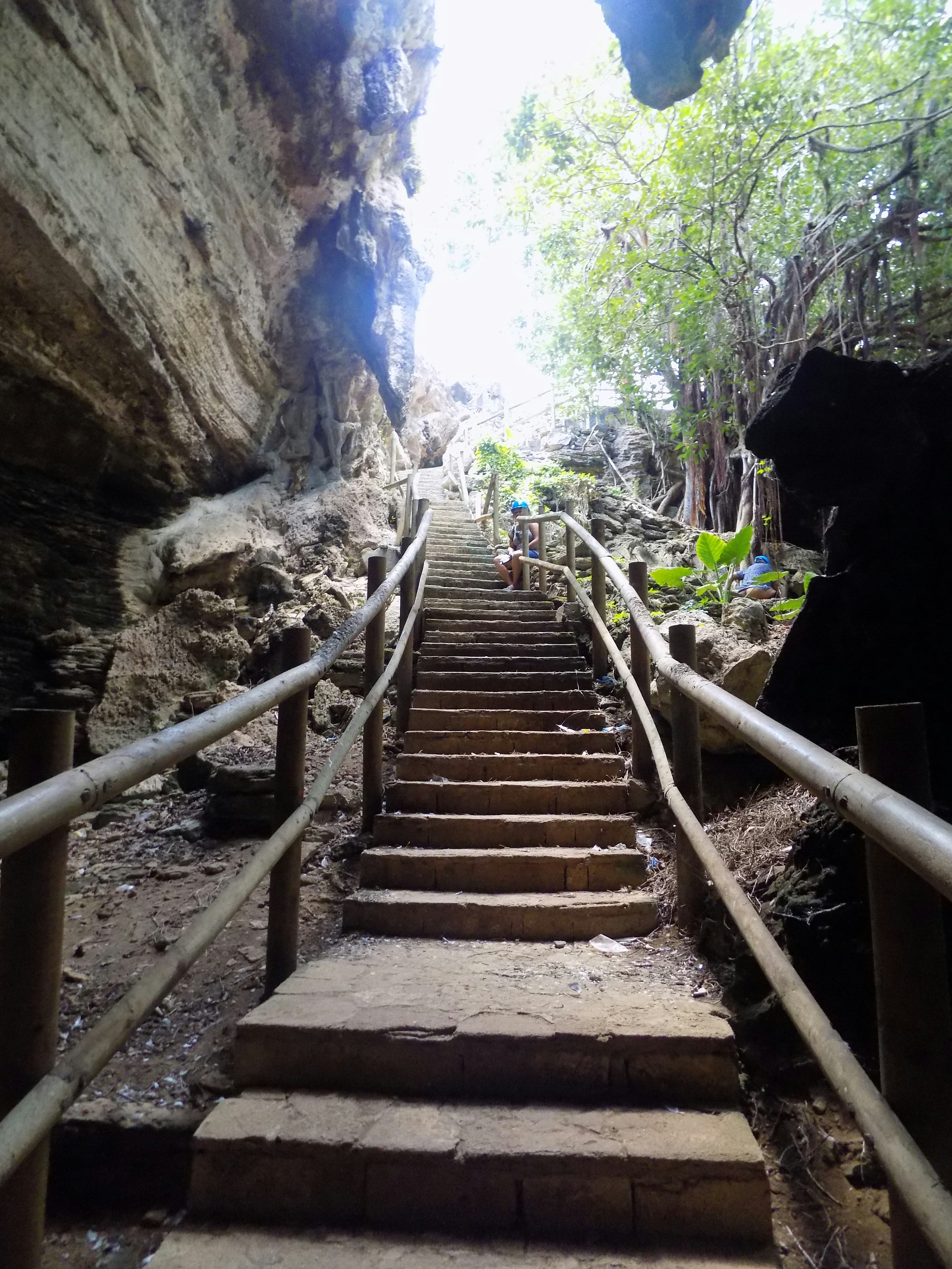 Free Unsplash photo from Pooja Ramsoful