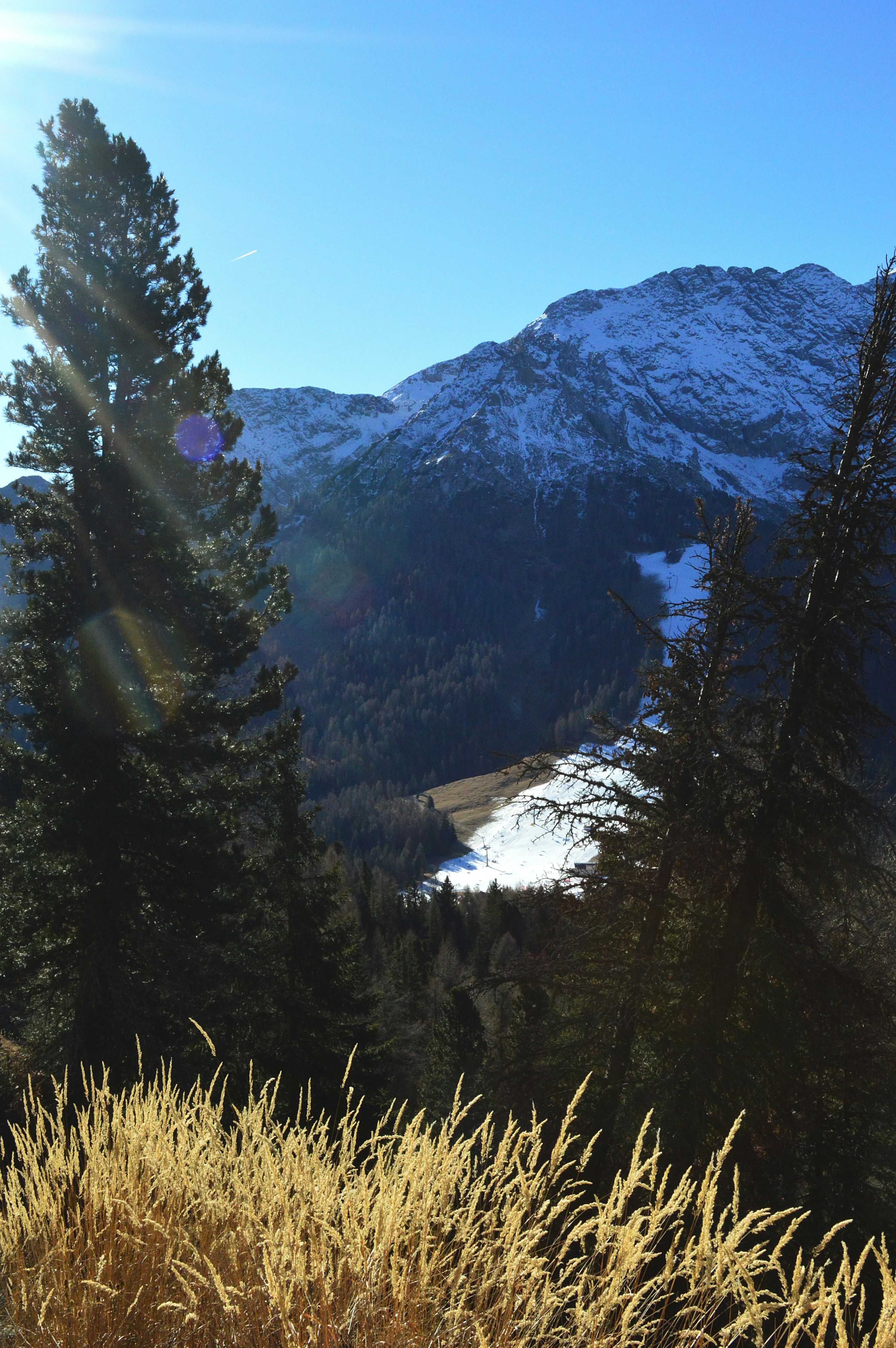 Free Unsplash photo from Emily Baruffaldi