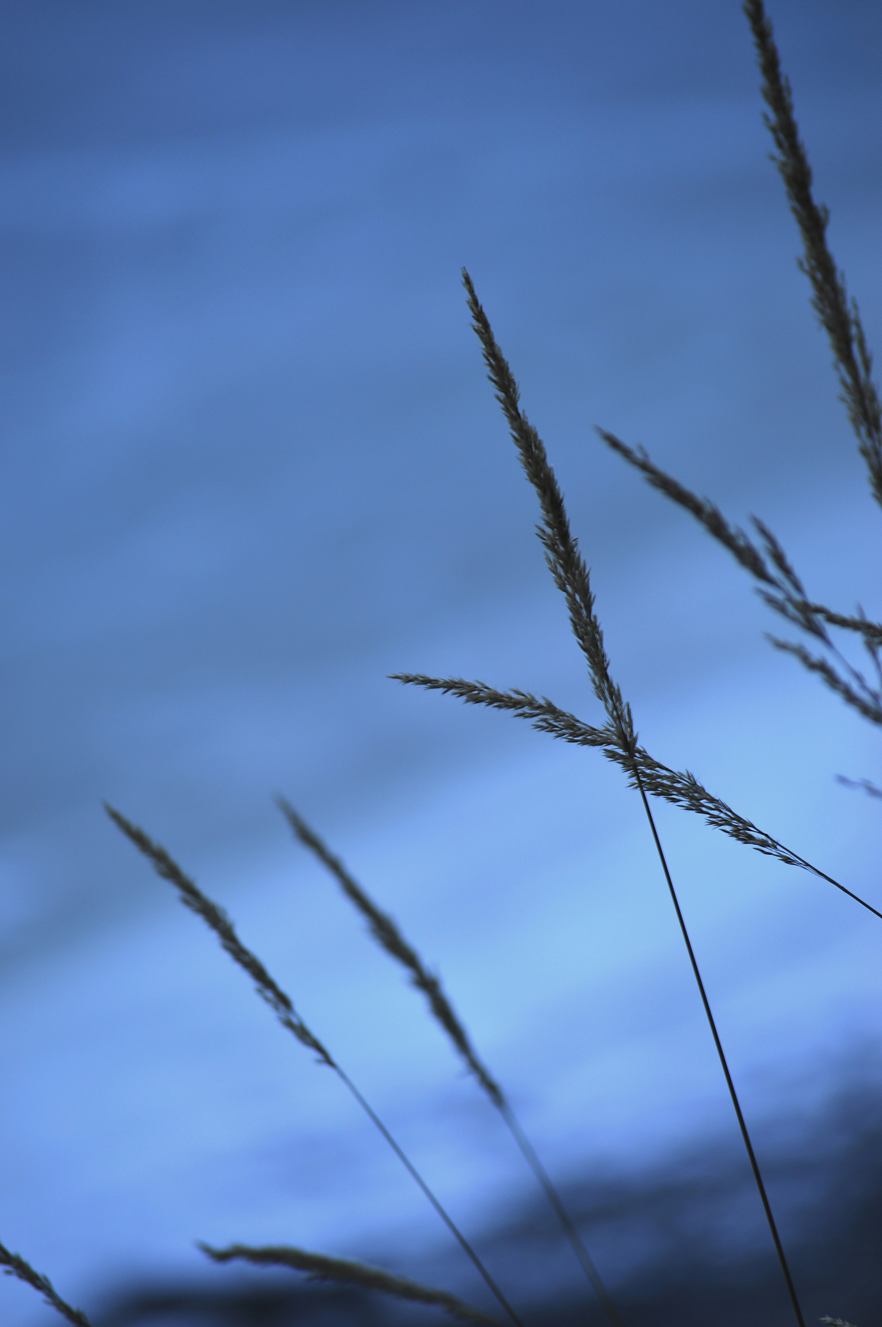 Free Unsplash photo from Emily Baruffaldi