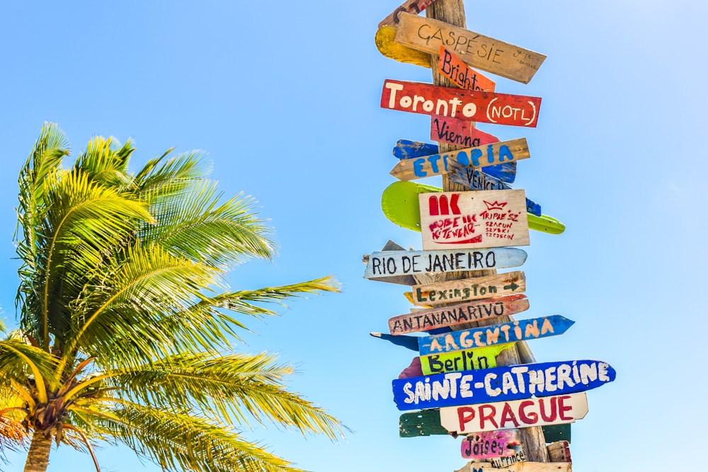 Directional signs on a wooden pole by the palm tree at Long Bay Beach