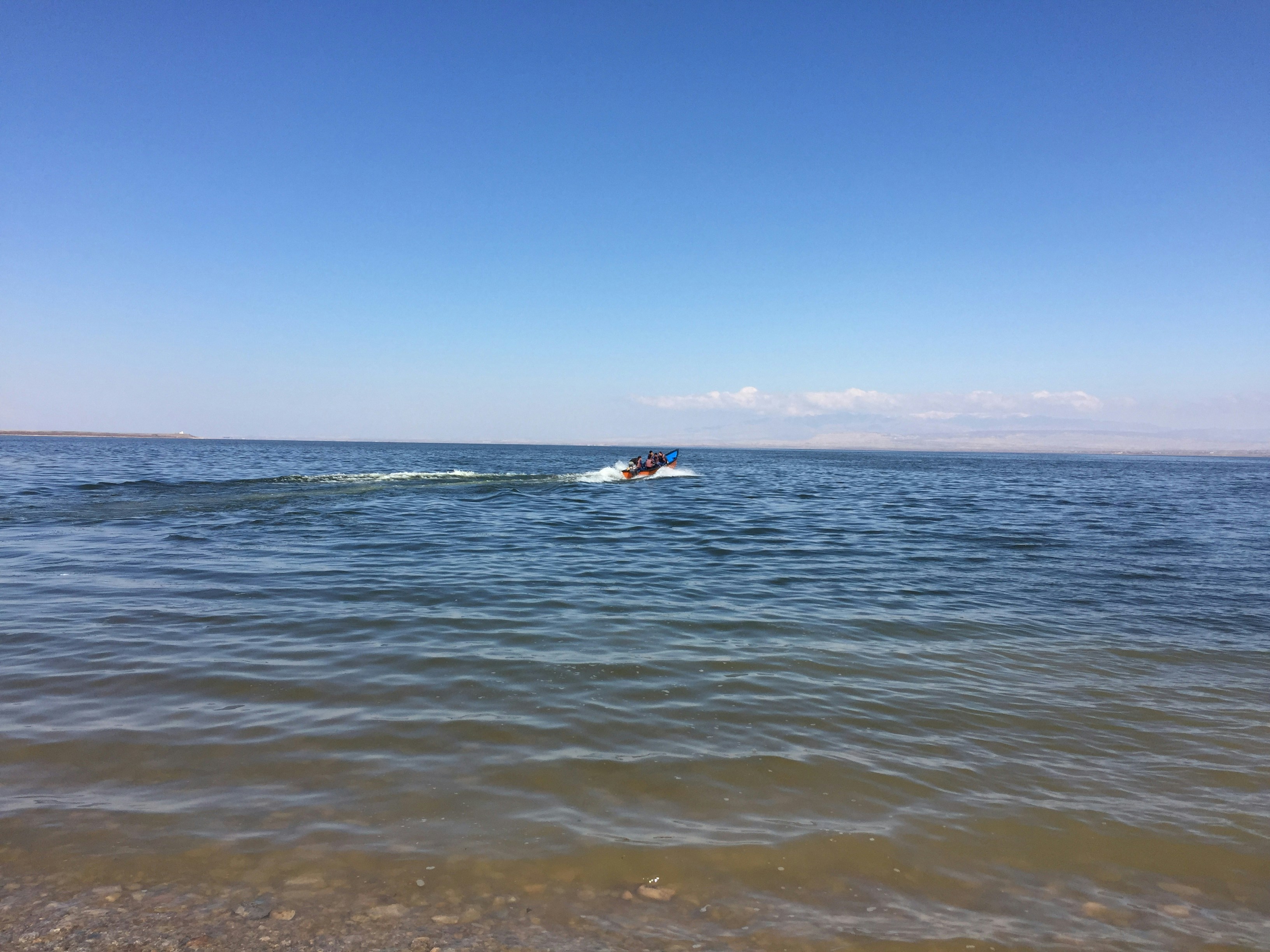 Free Unsplash photo from mahmood zamani