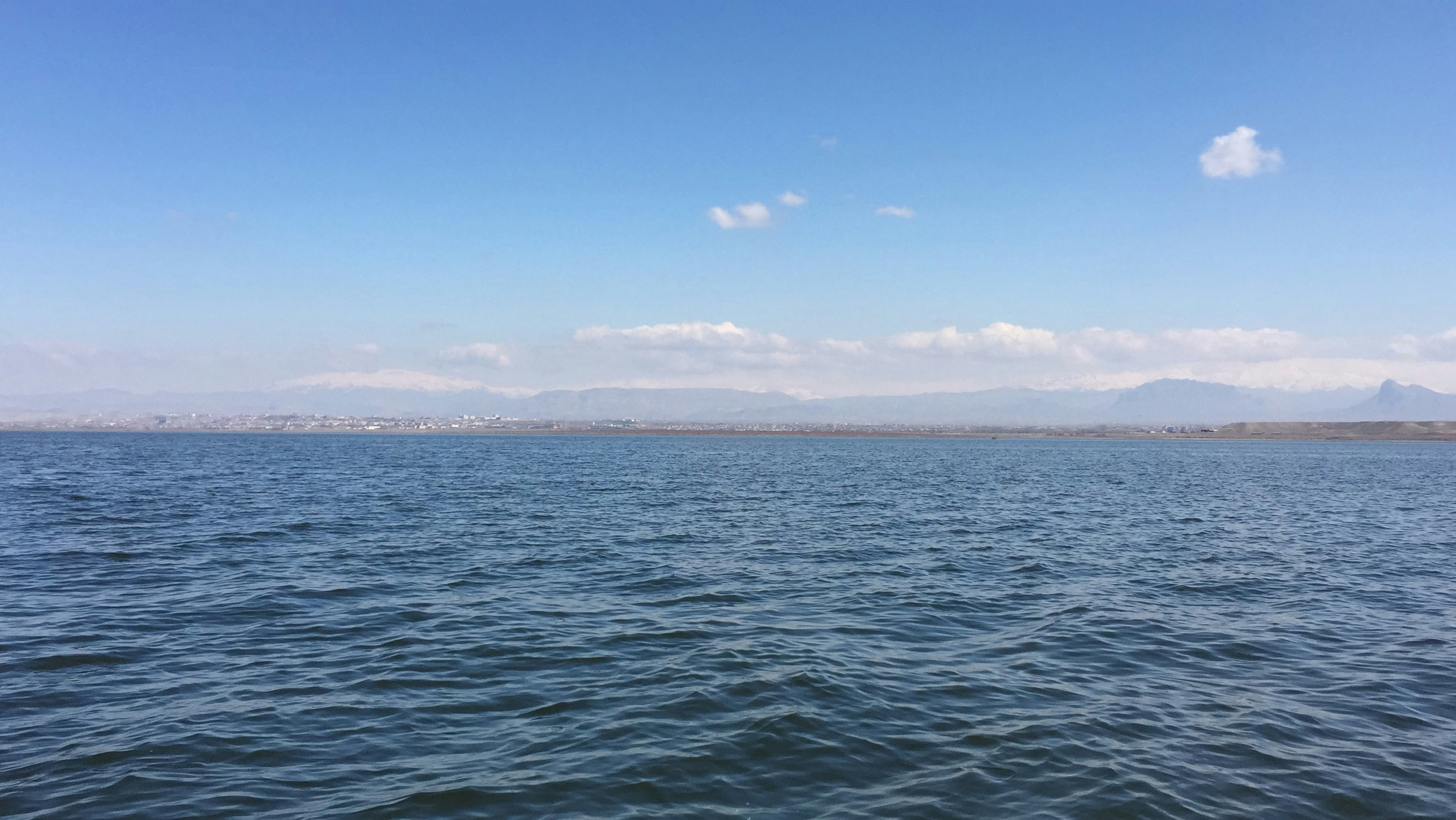 Free Unsplash photo from mahmood zamani